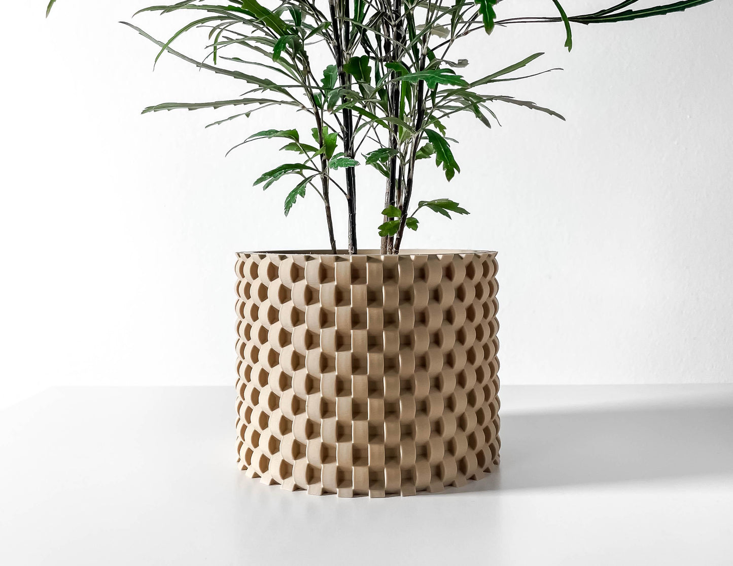 The Cheo Planter