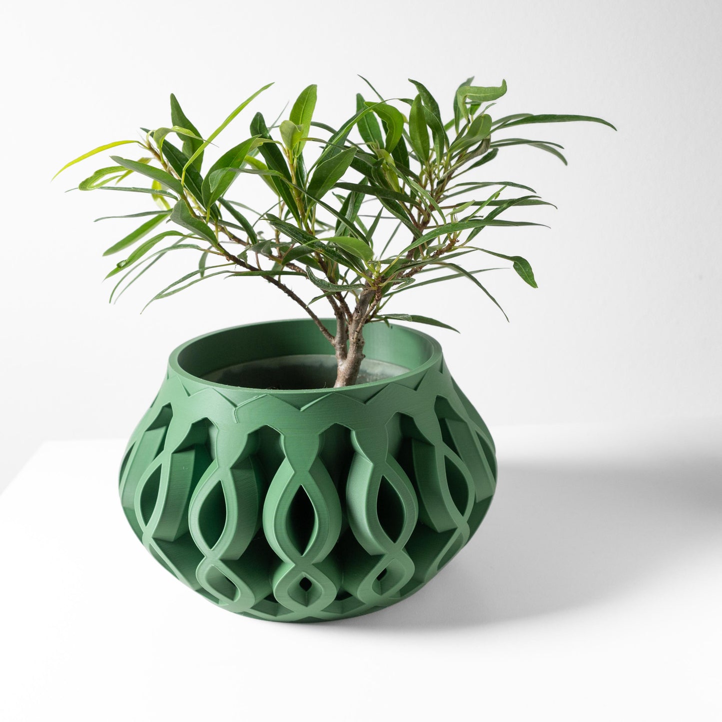 The Cylas Planter
