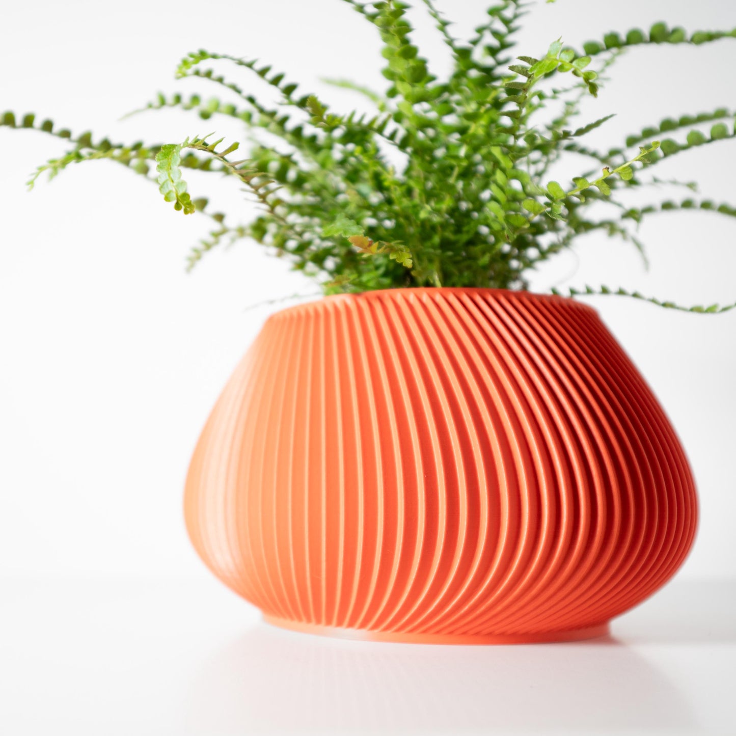 The Davi Planter