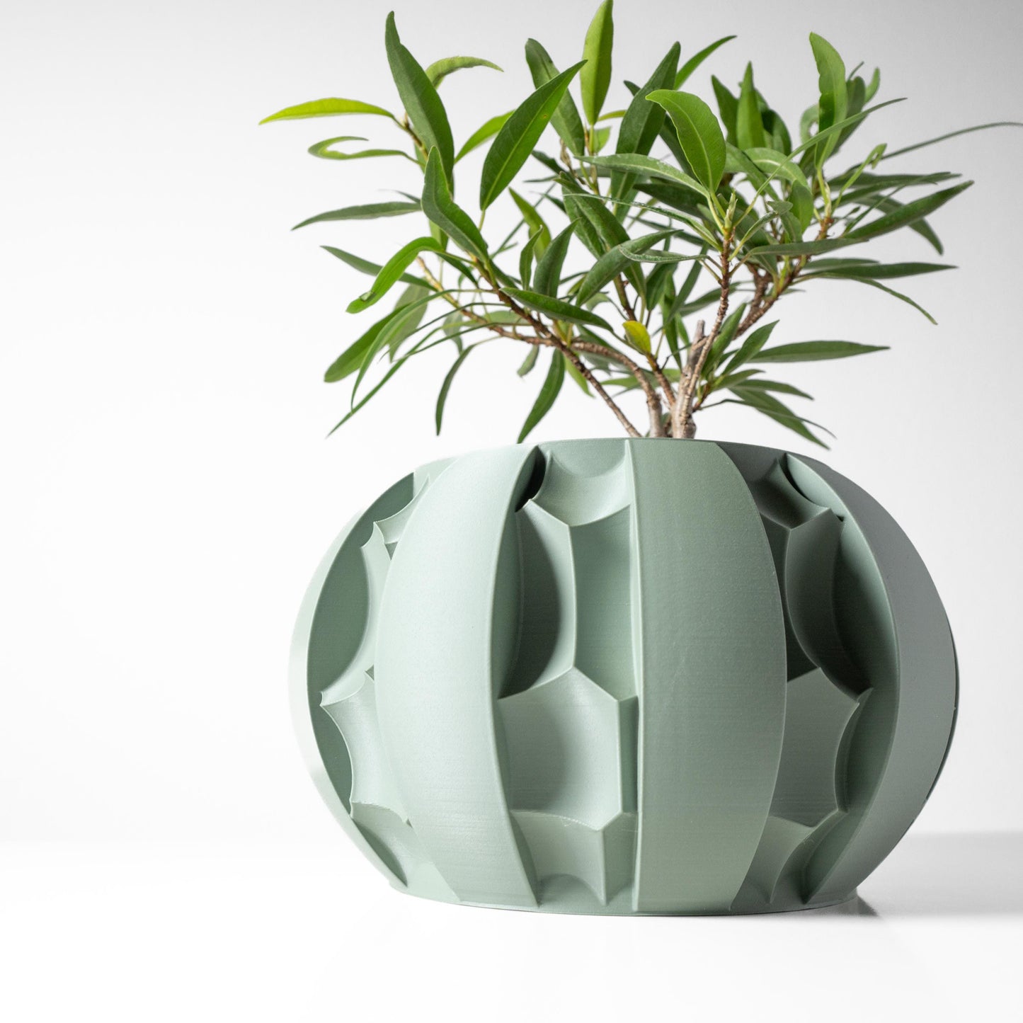 The Erna Planter