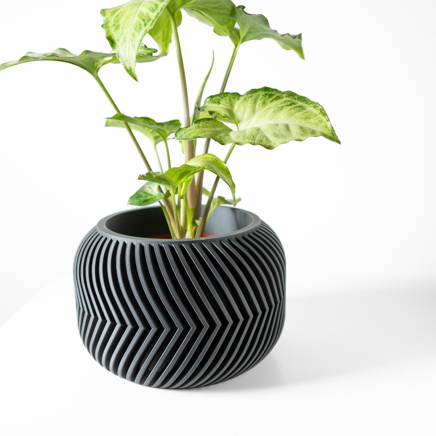 The Ervon Planter