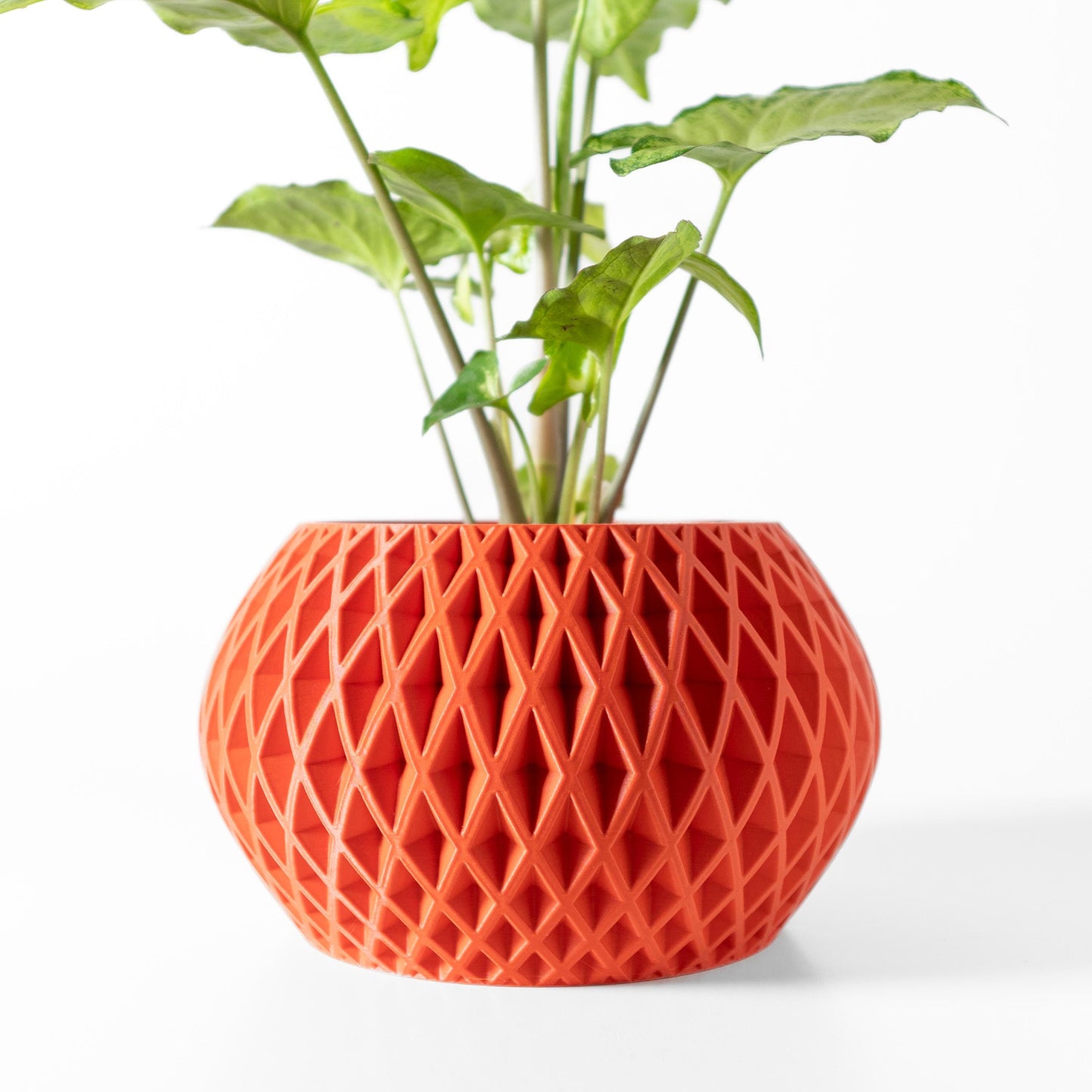 The Gisar Planter