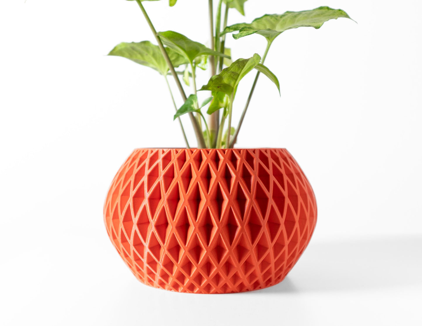 The Gisar Planter