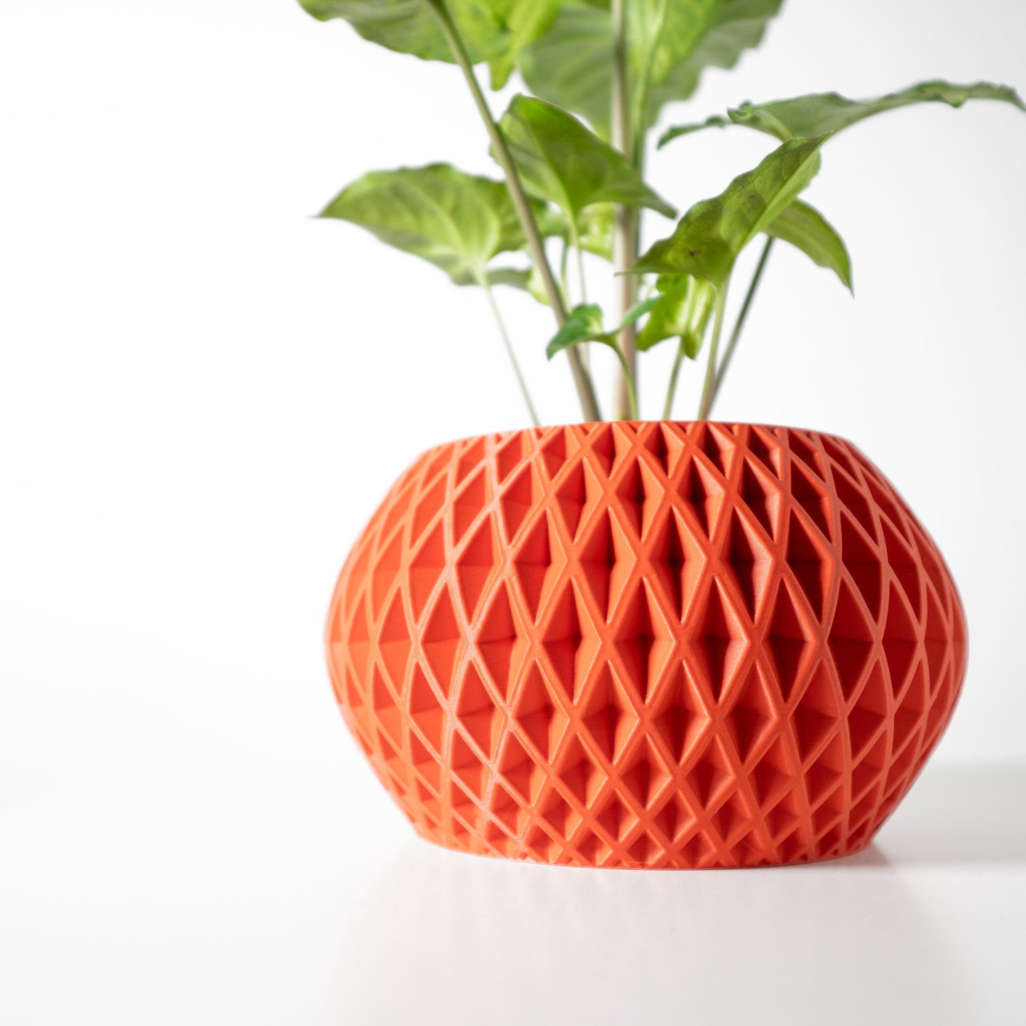 The Gisar Planter