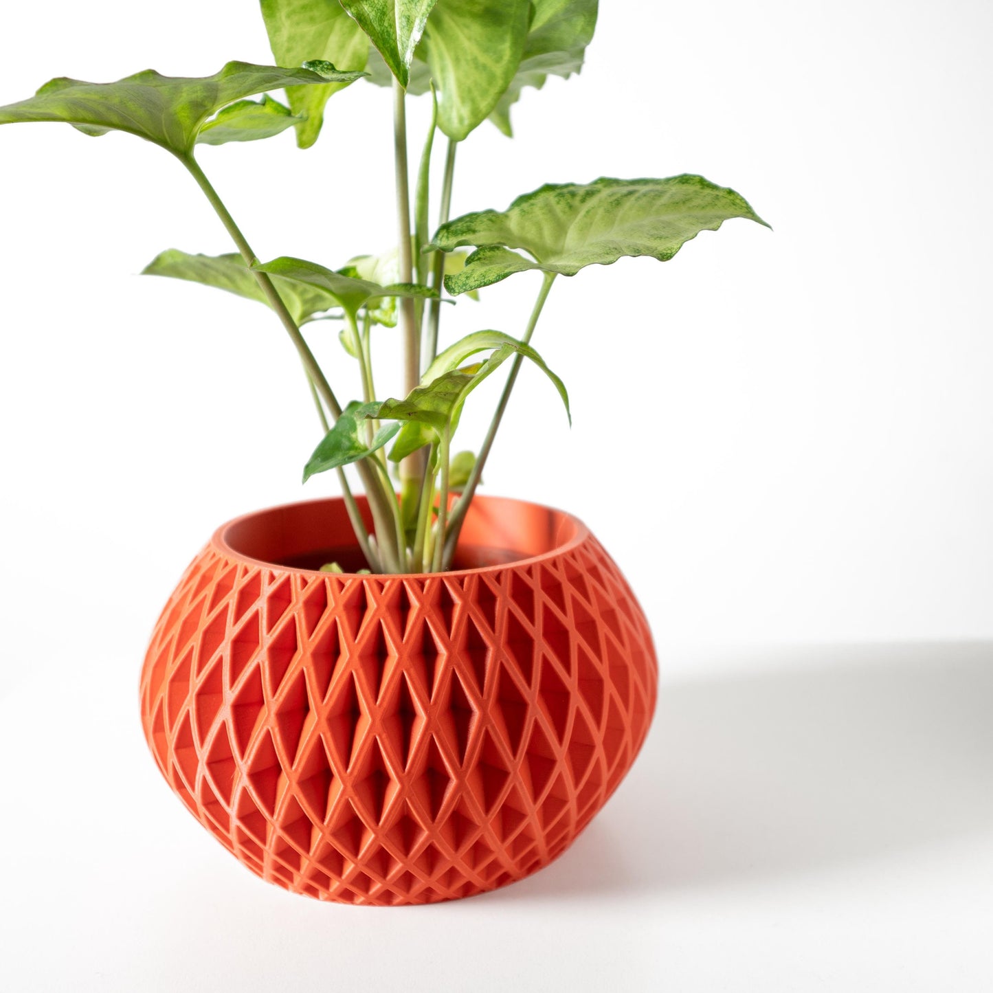 The Gisar Planter