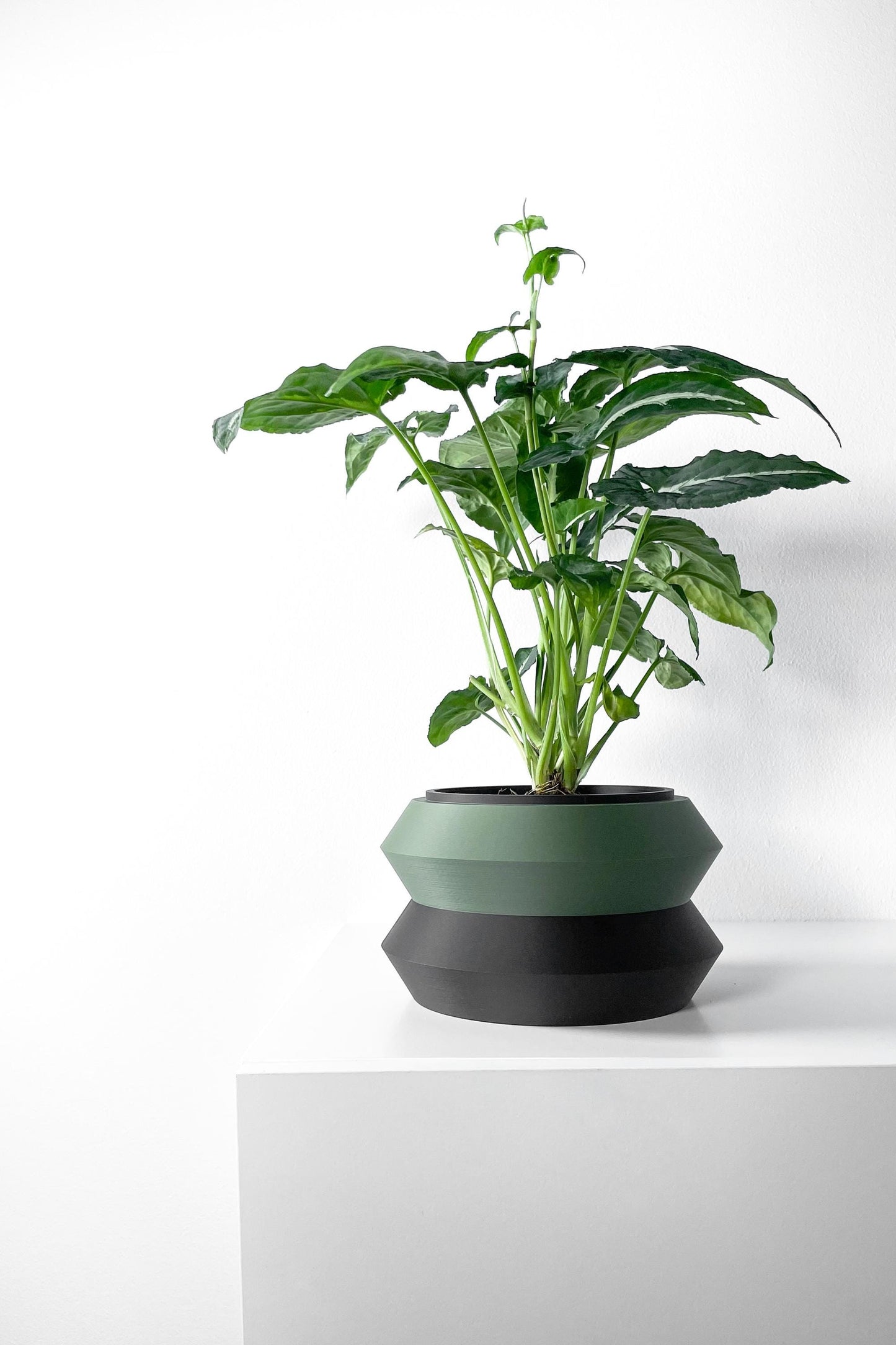 The Grafel Planter