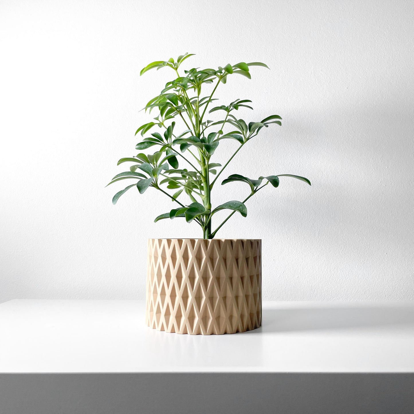 The Grivan Planter