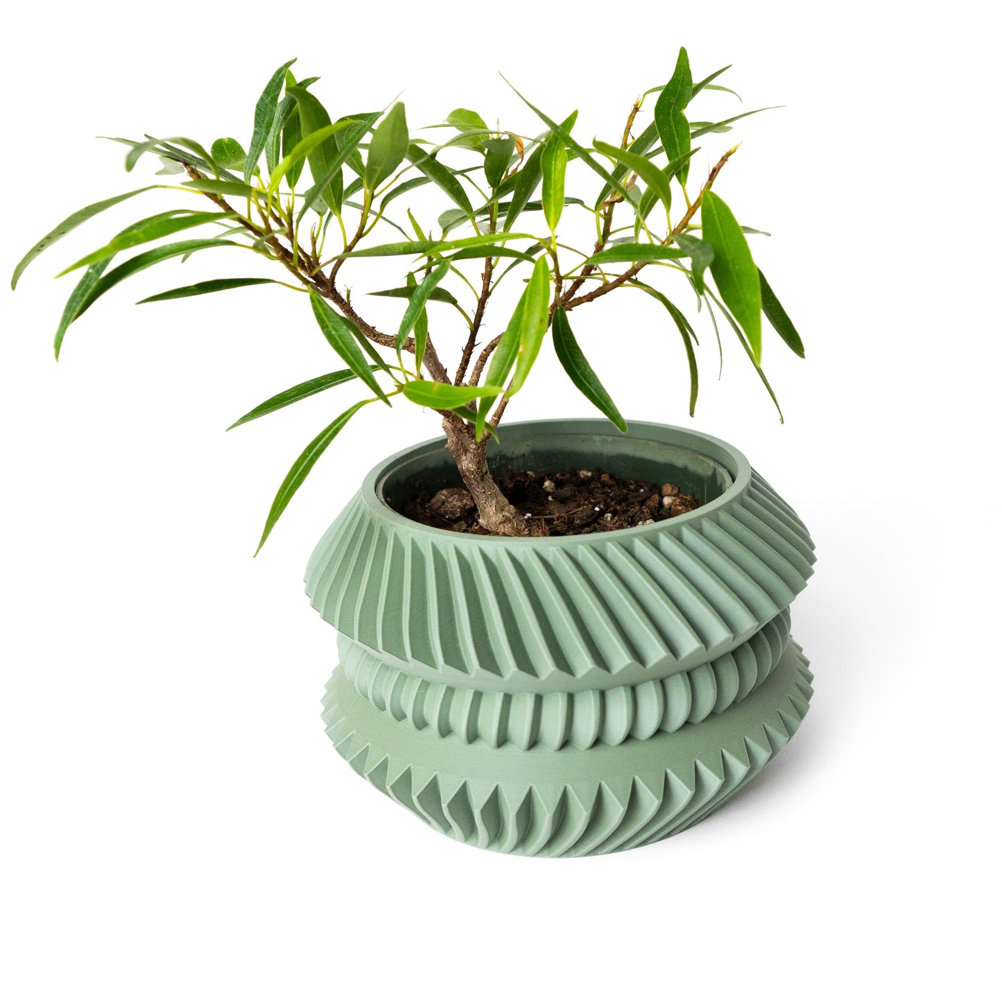 The Jako Planter
