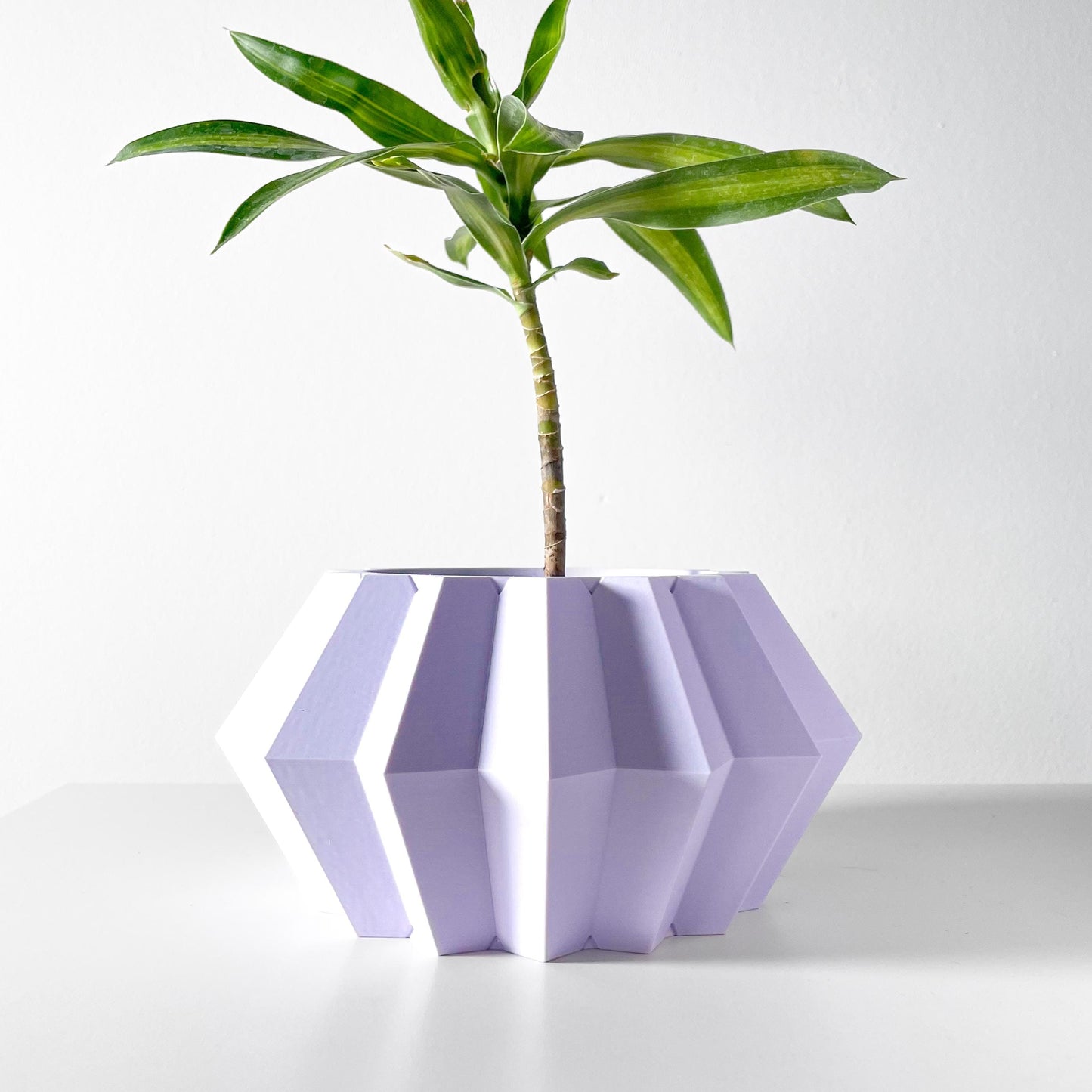 The Jun Planter