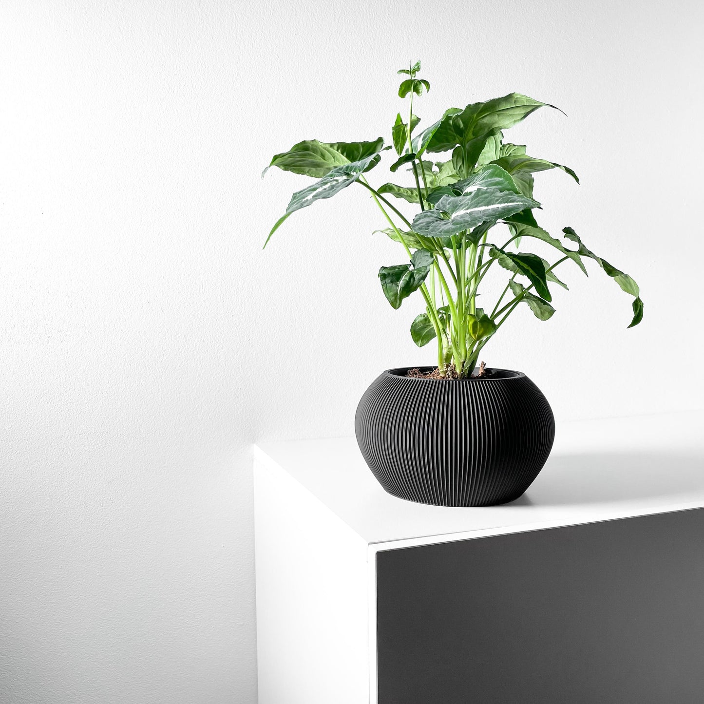 The Melfi Planter