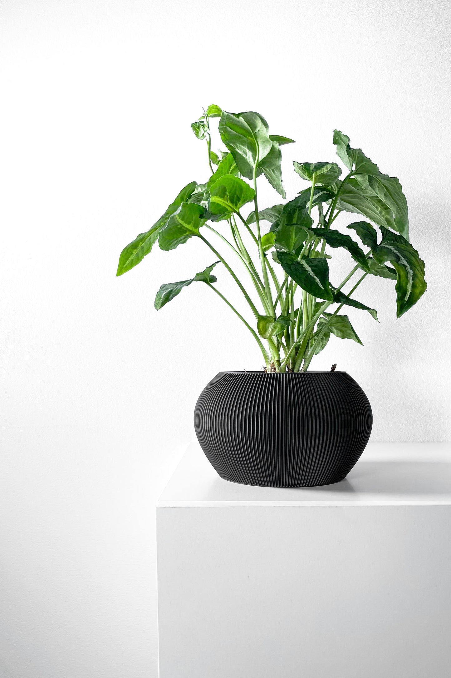 The Melfi Planter