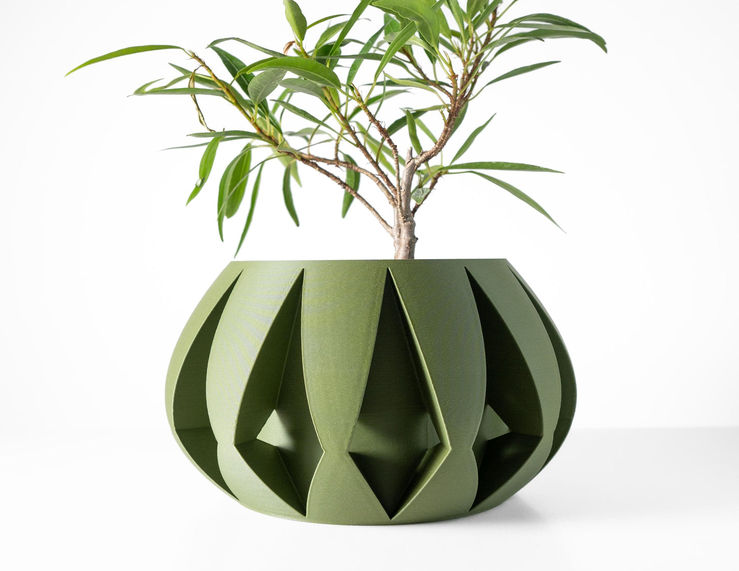 The Moki Planter