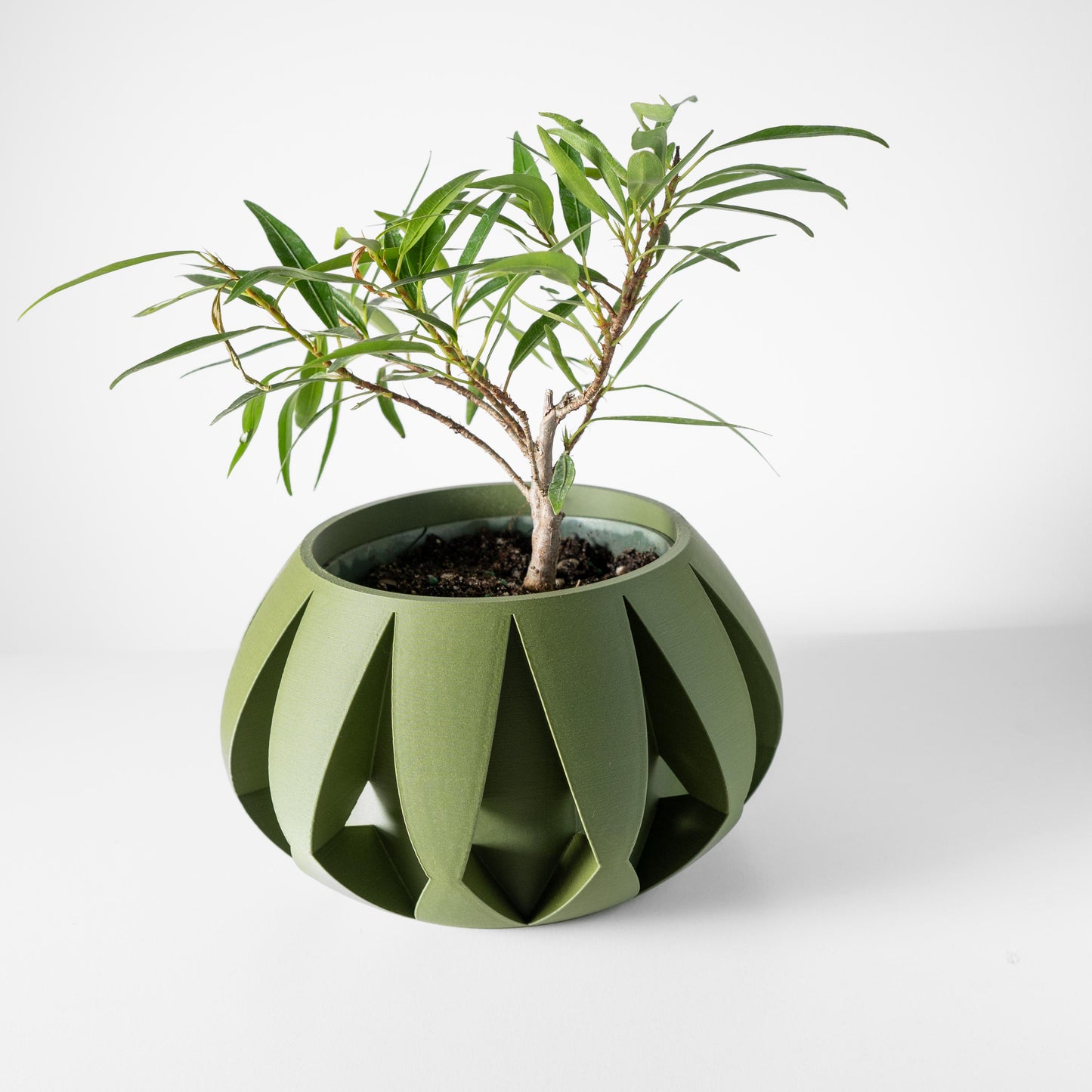 The Moki Planter