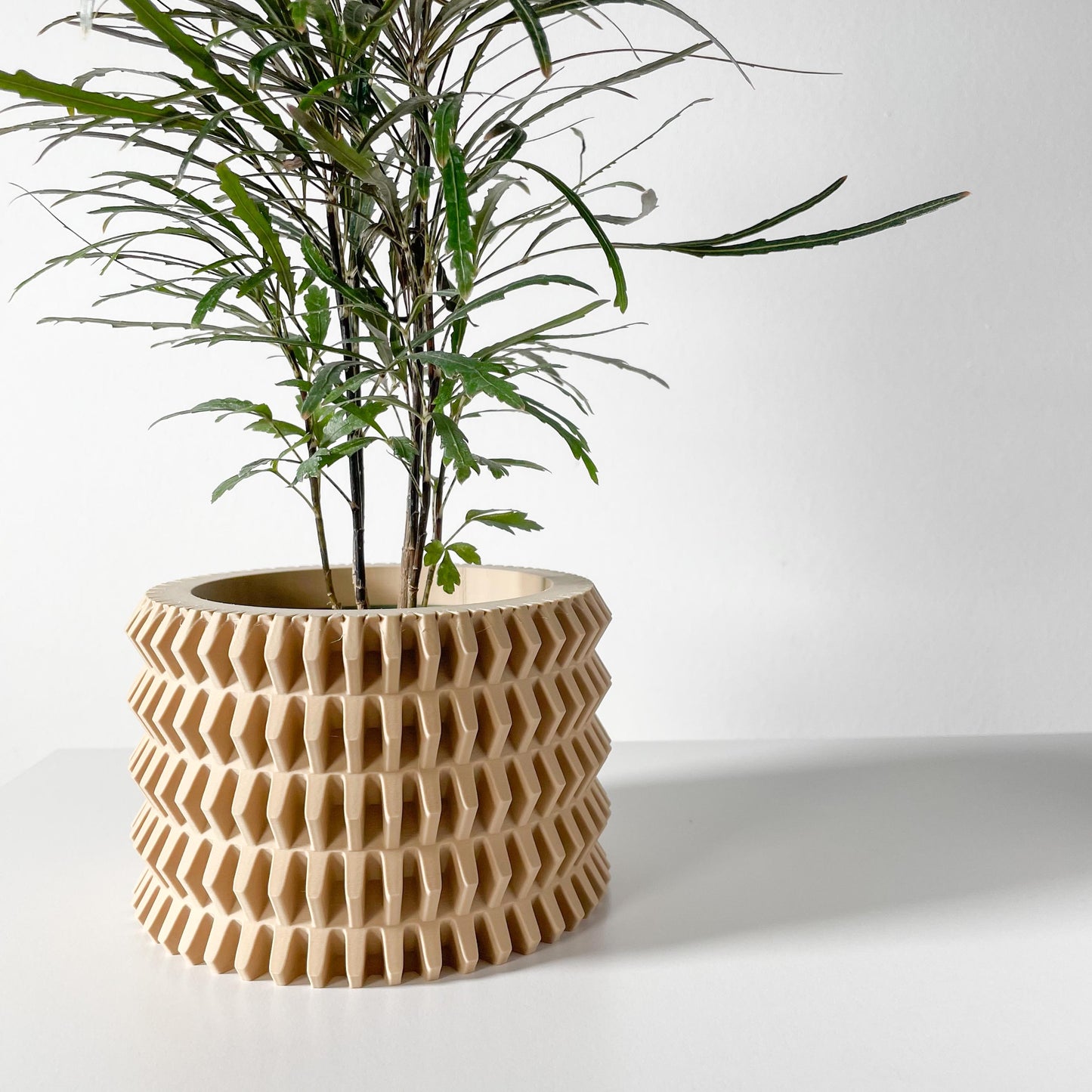 The Nimex Planter