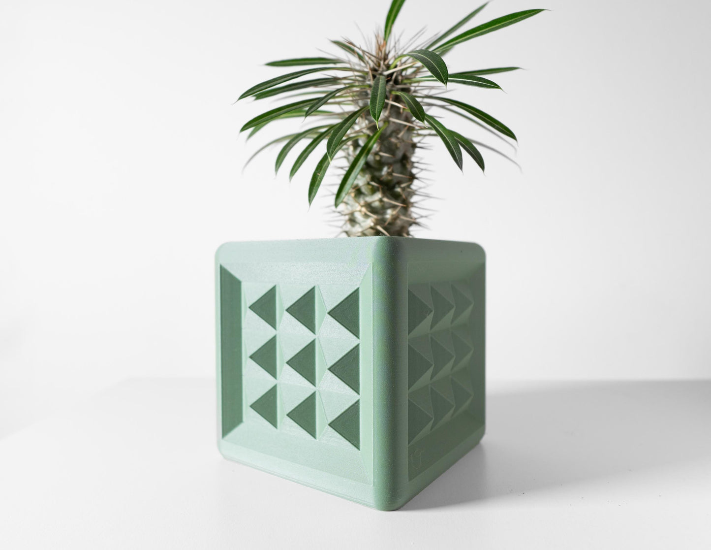 The Novo Planter