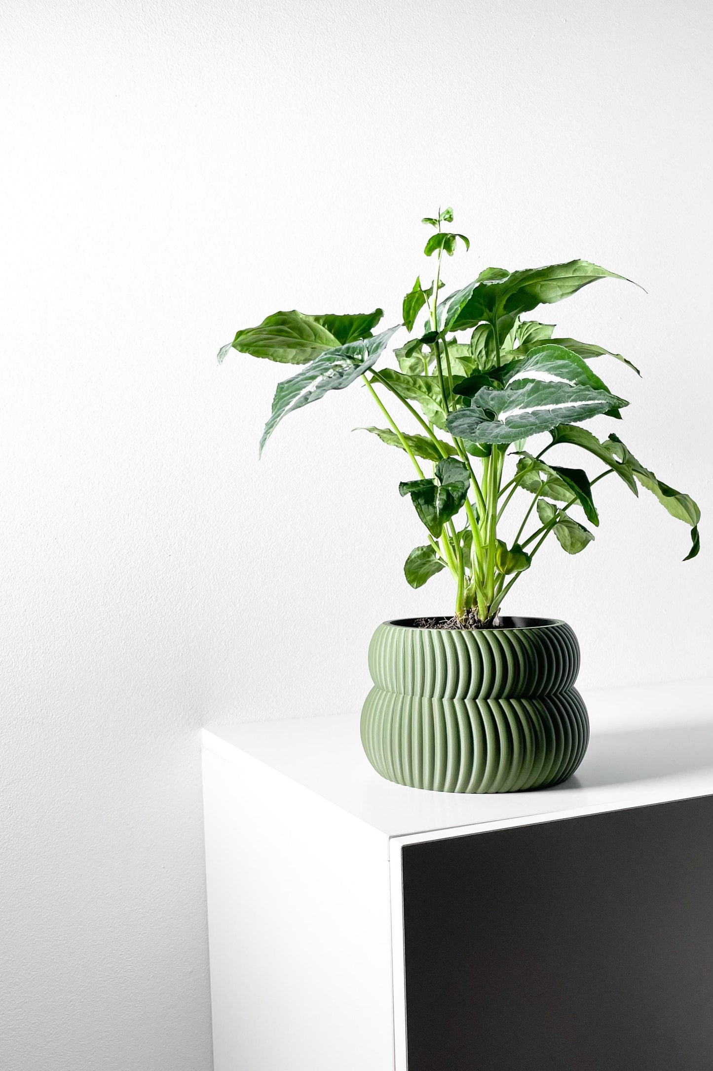 The Quarn Planter
