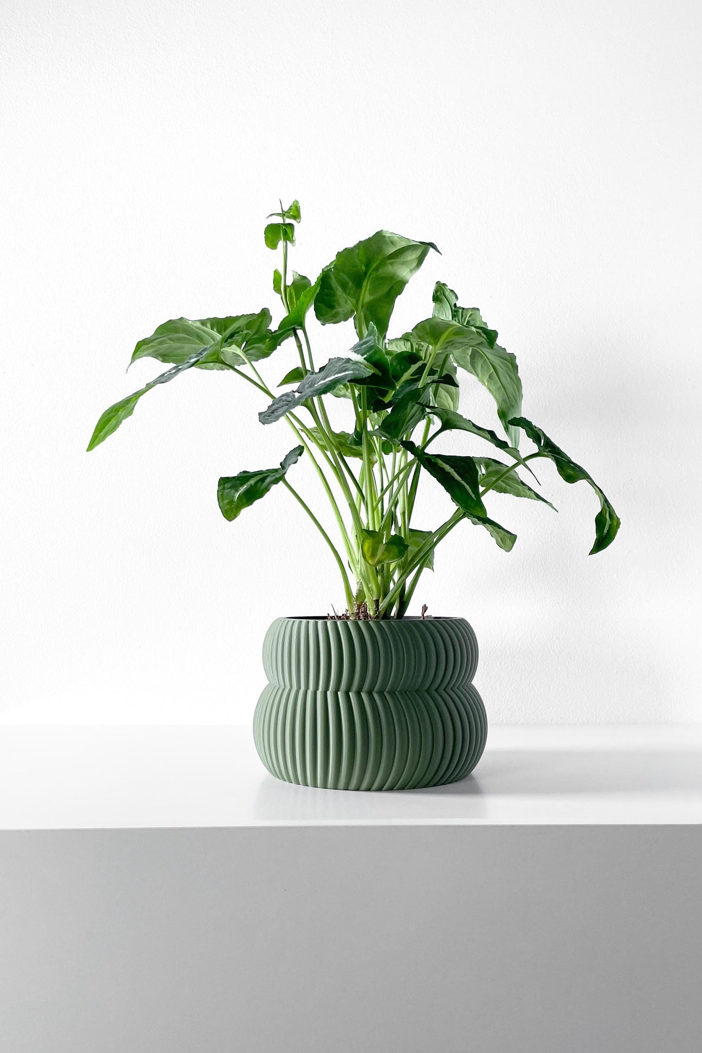The Quarn Planter