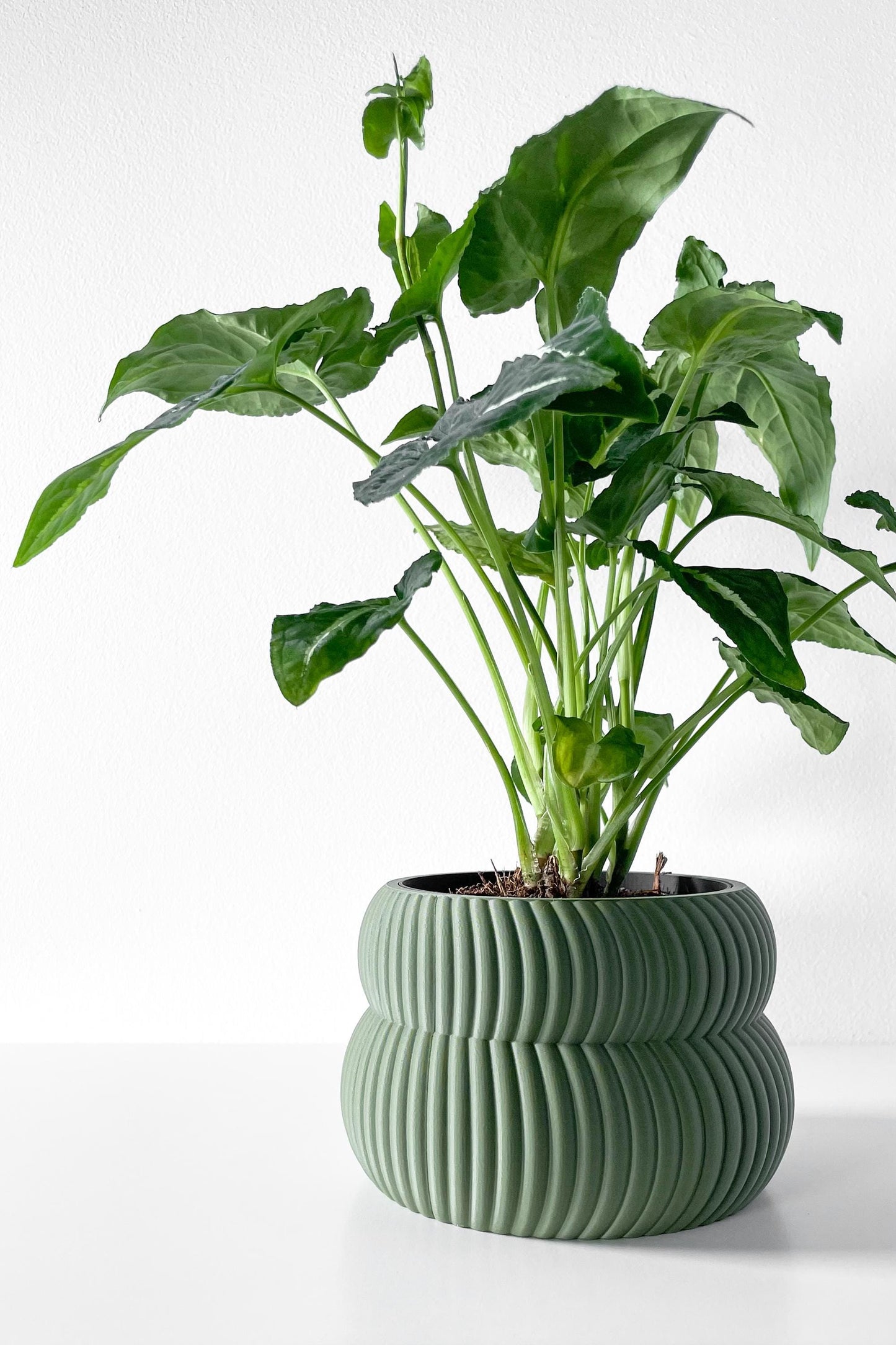 The Quarn Planter