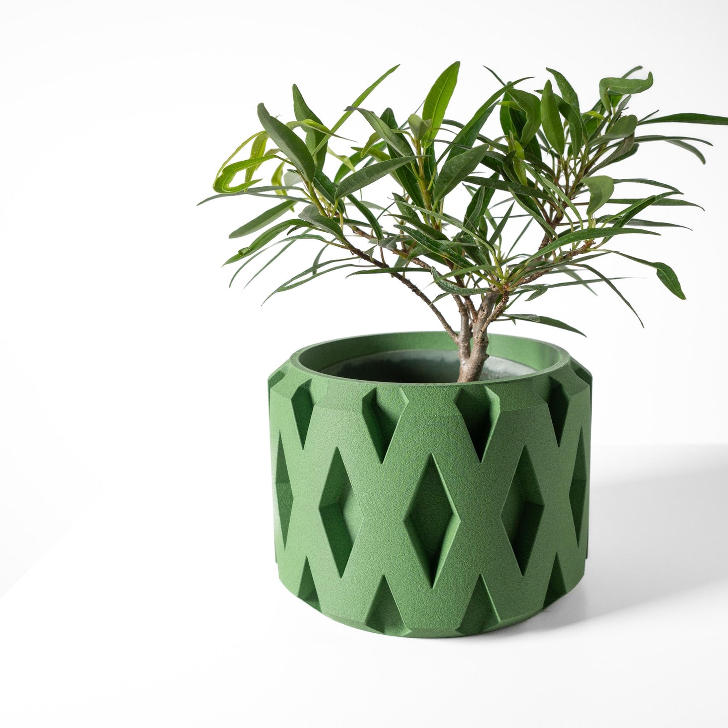 The Rano Planter