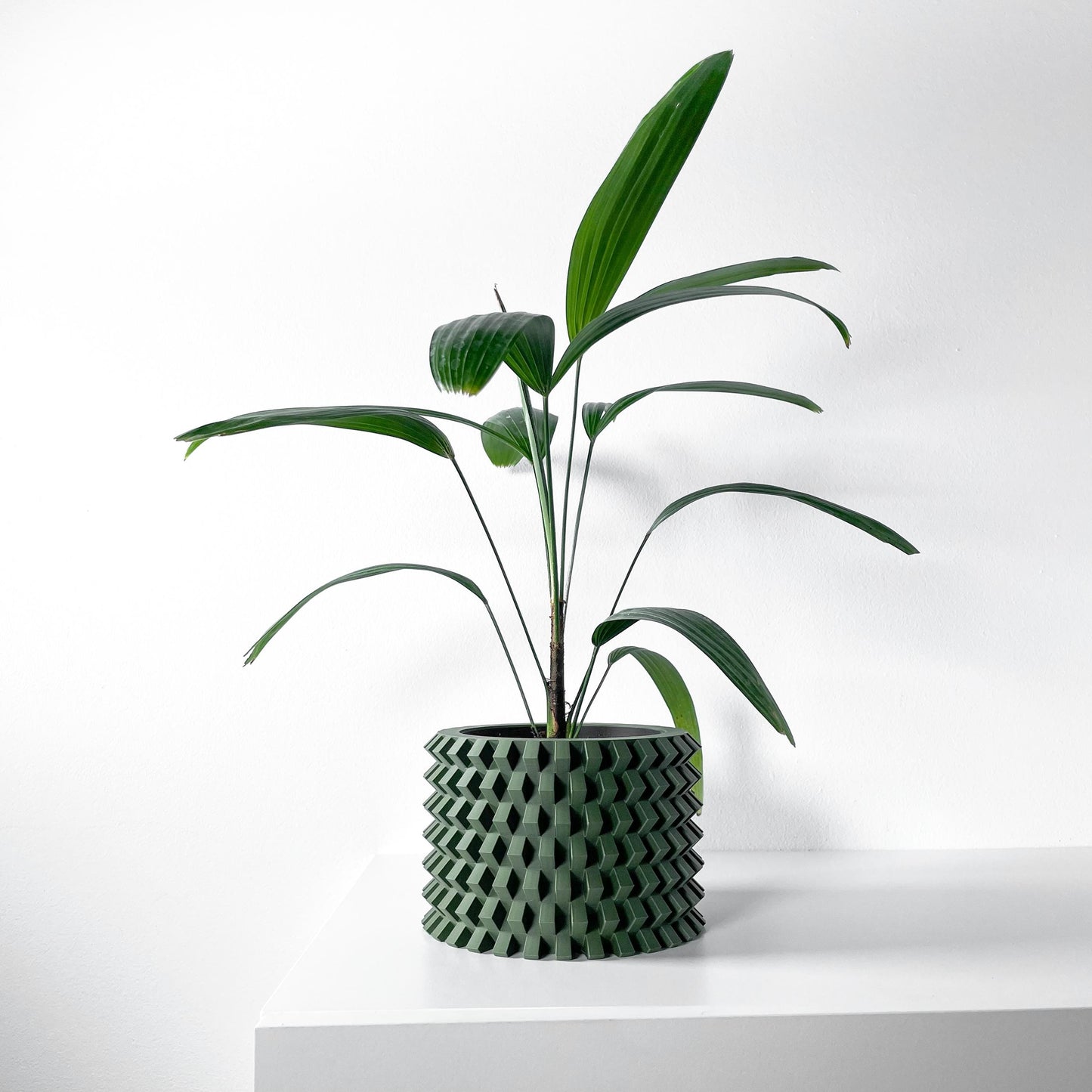 The Rilvo Planter