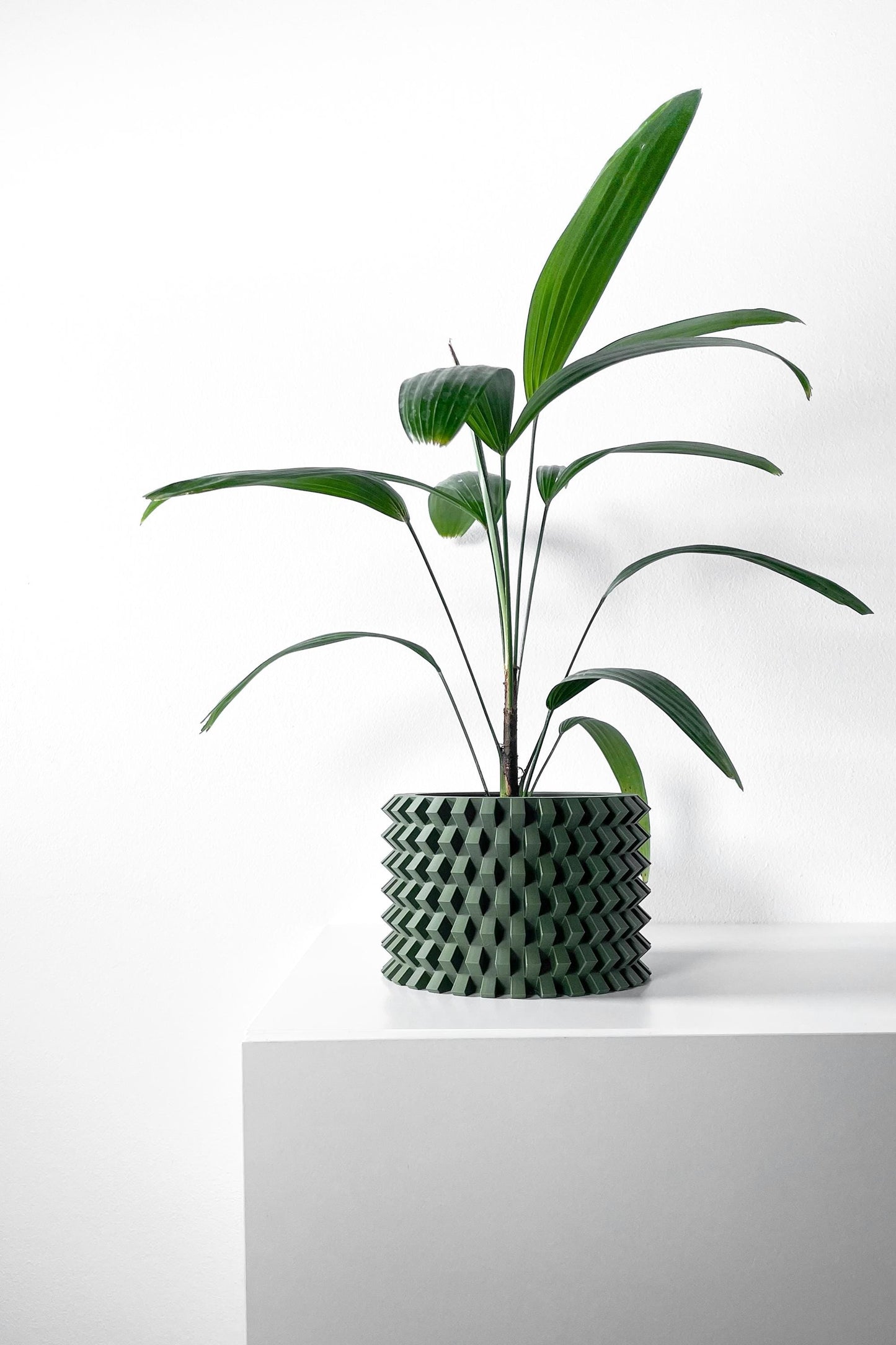 The Rilvo Planter