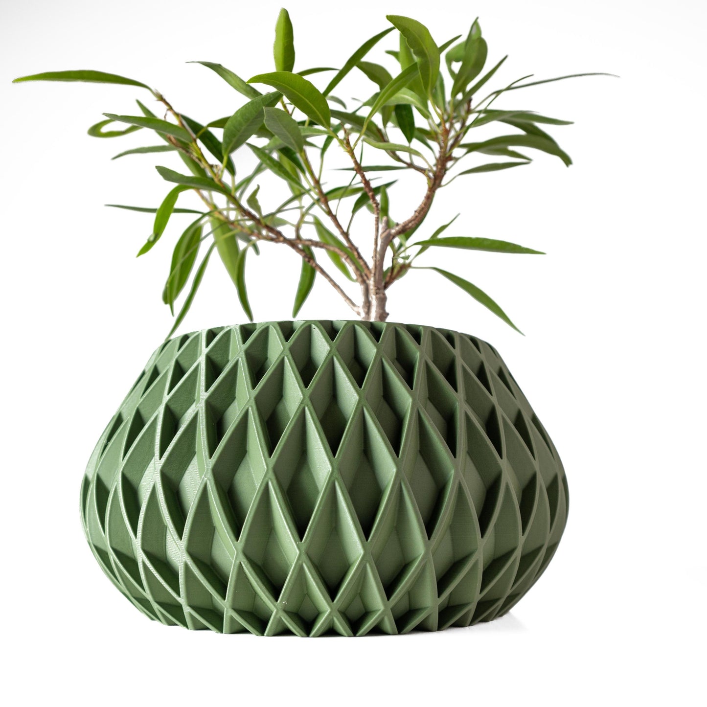 The Rivio Planter