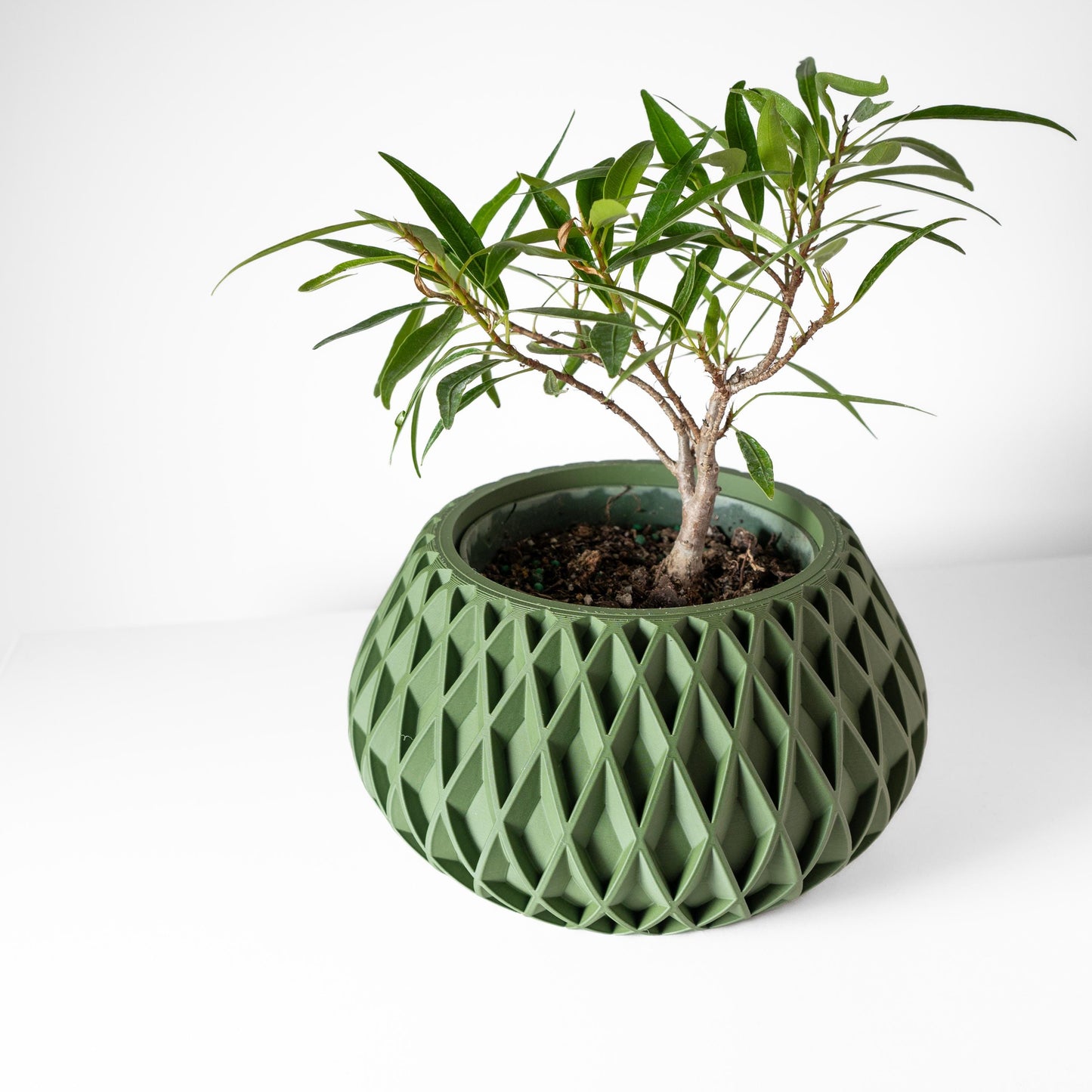 The Rivio Planter