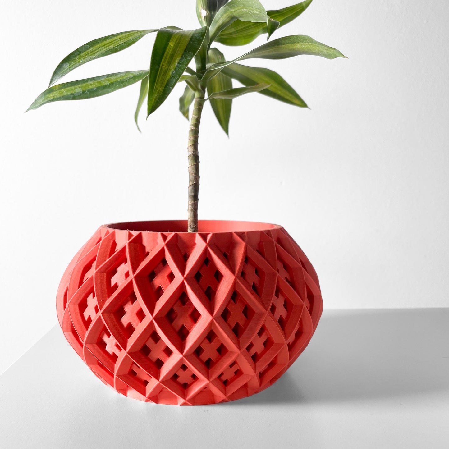 The Rokio Planter
