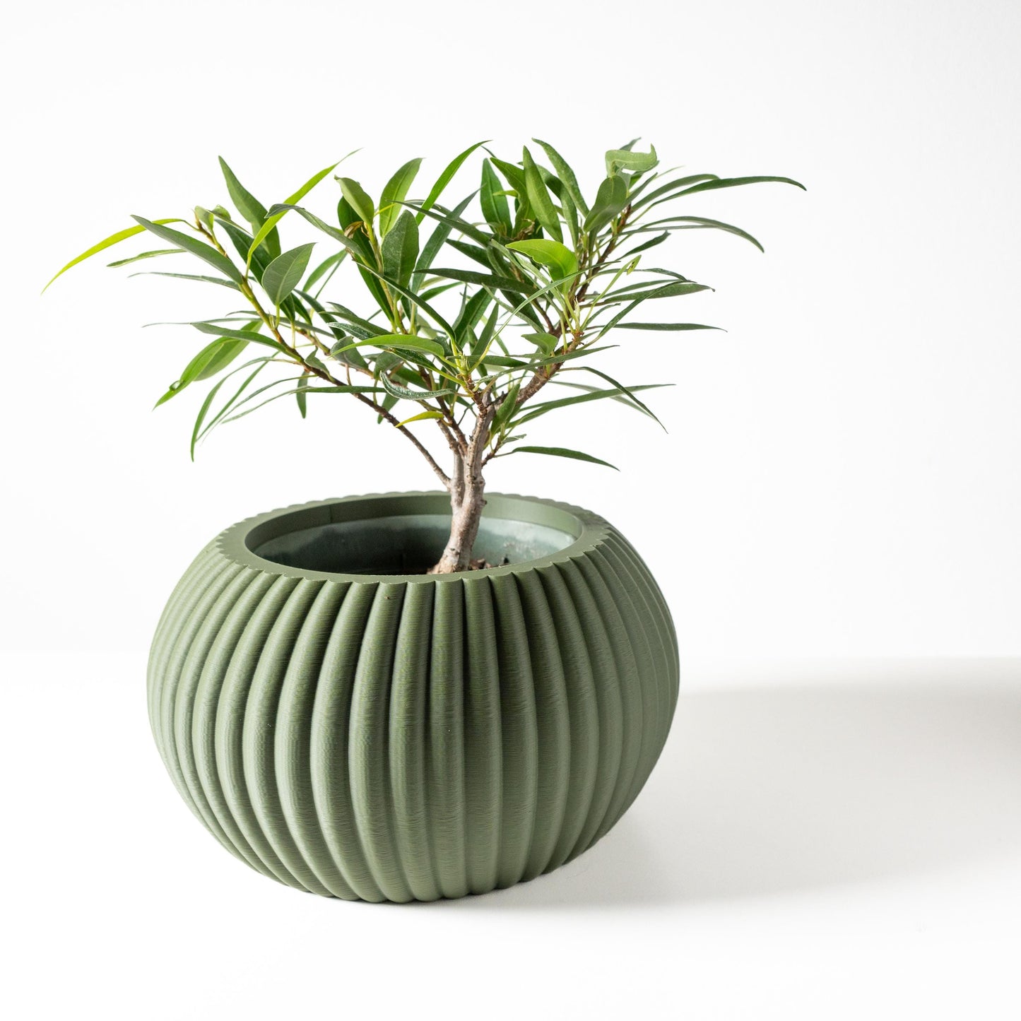 The Roni Planter