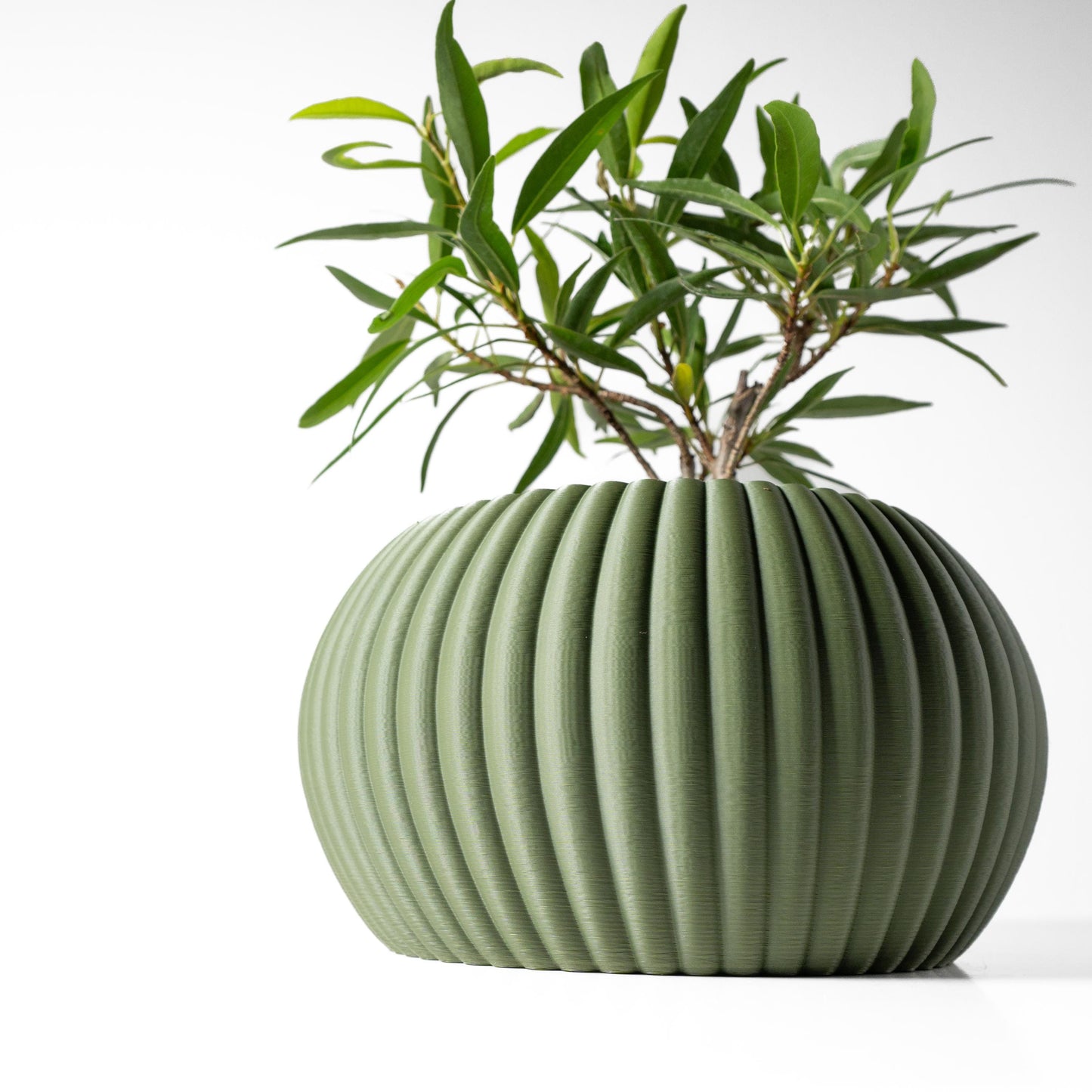 The Roni Planter