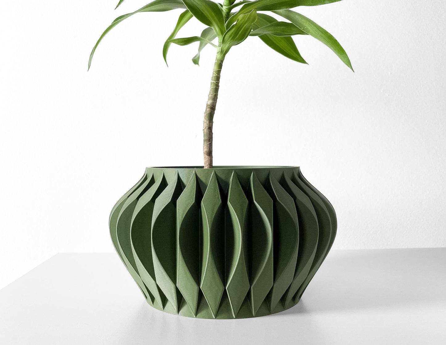 The Sevi Planter