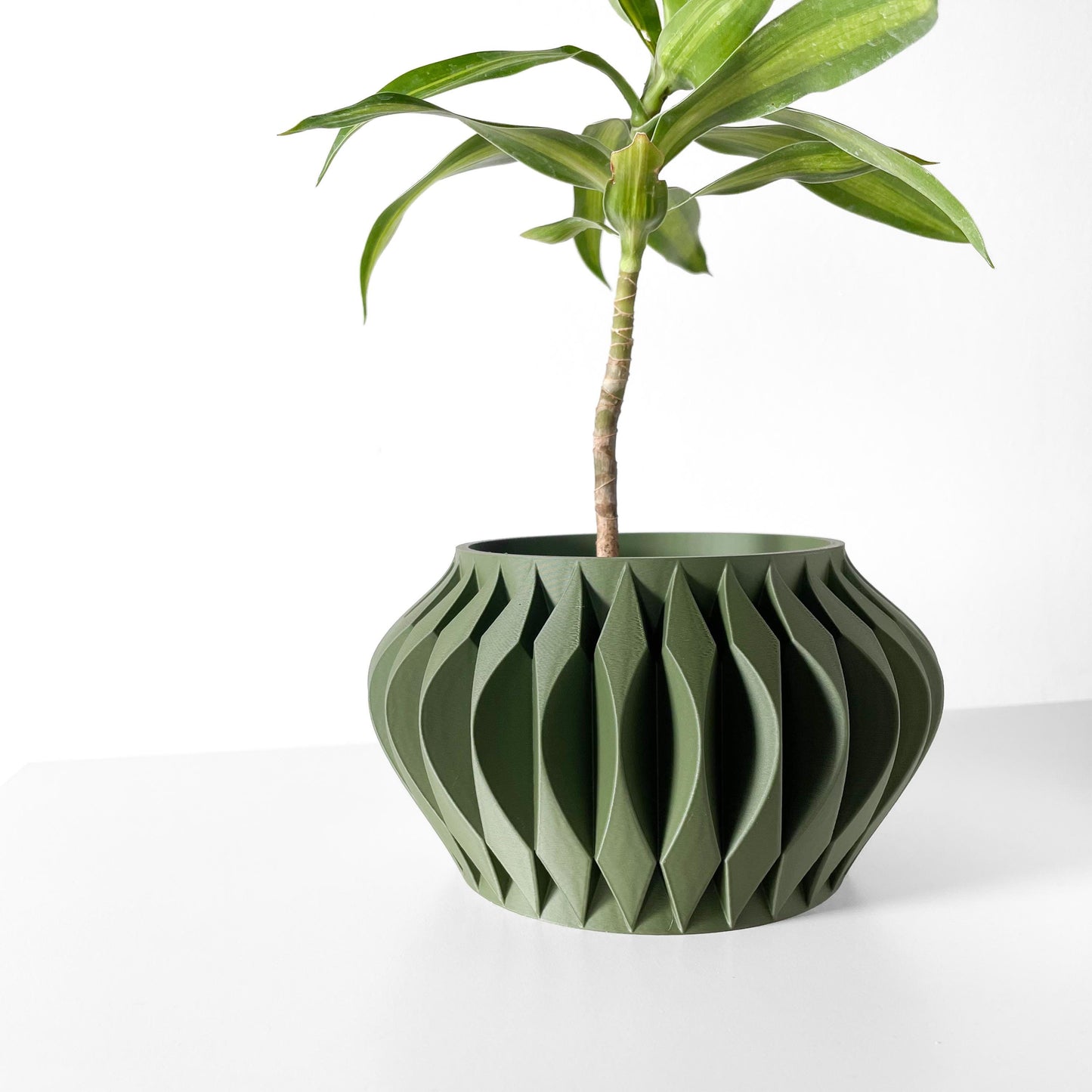 The Sevi Planter