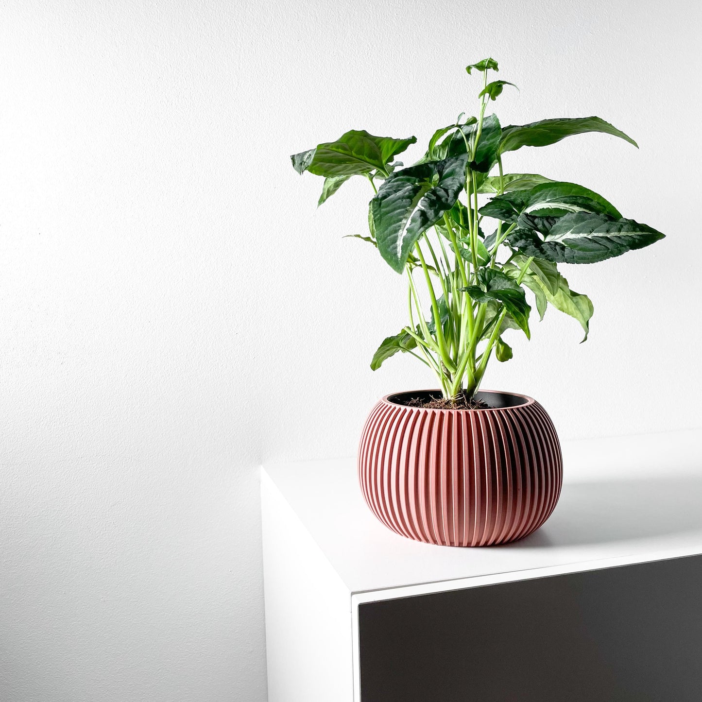 The Surno Planter