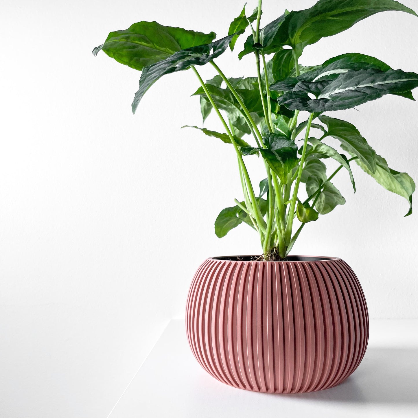 The Surno Planter