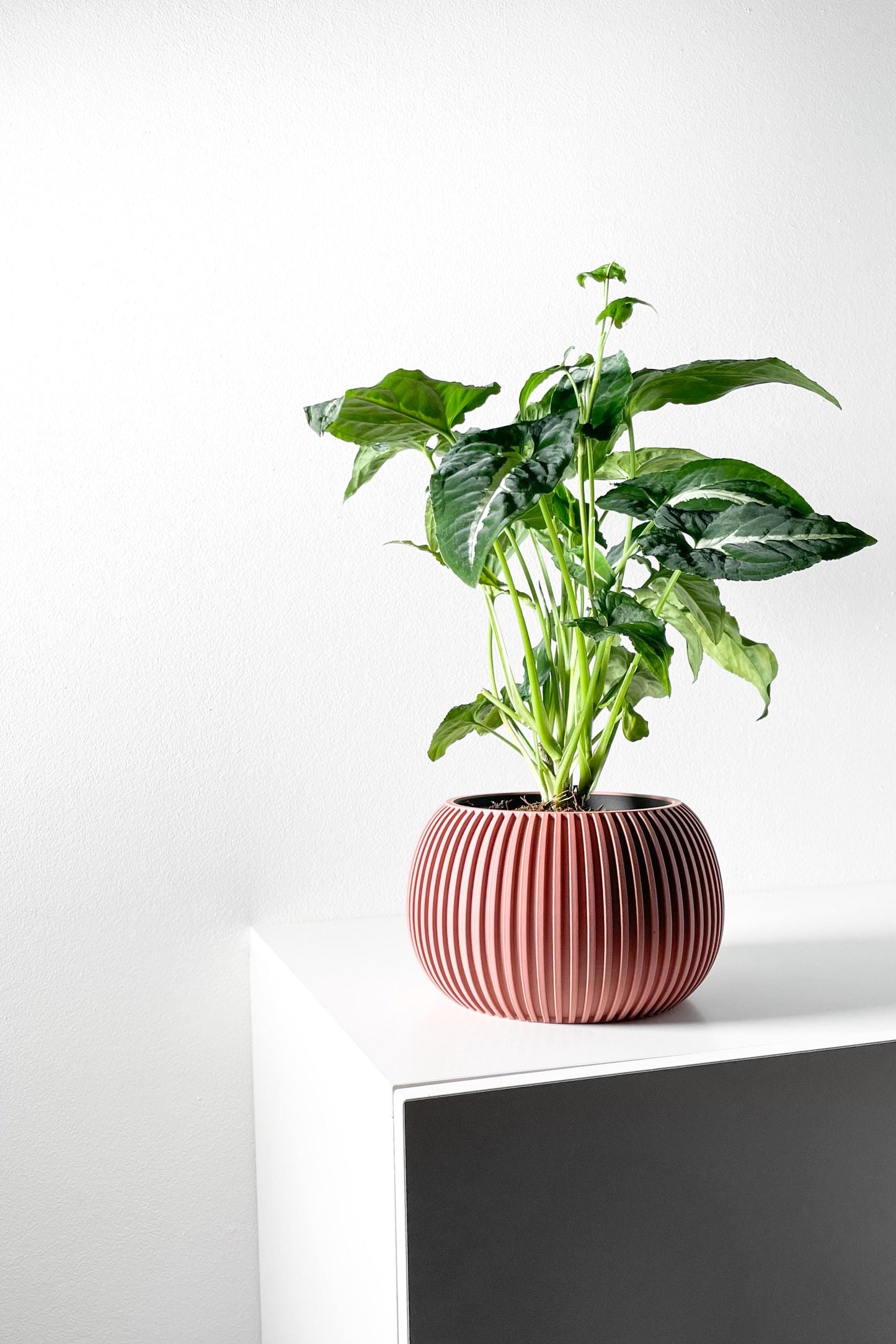 The Surno Planter