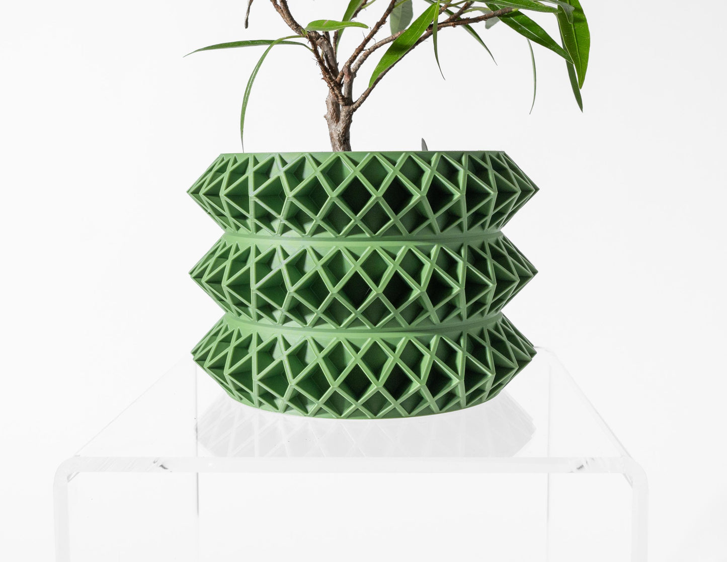 The Tomo Planter