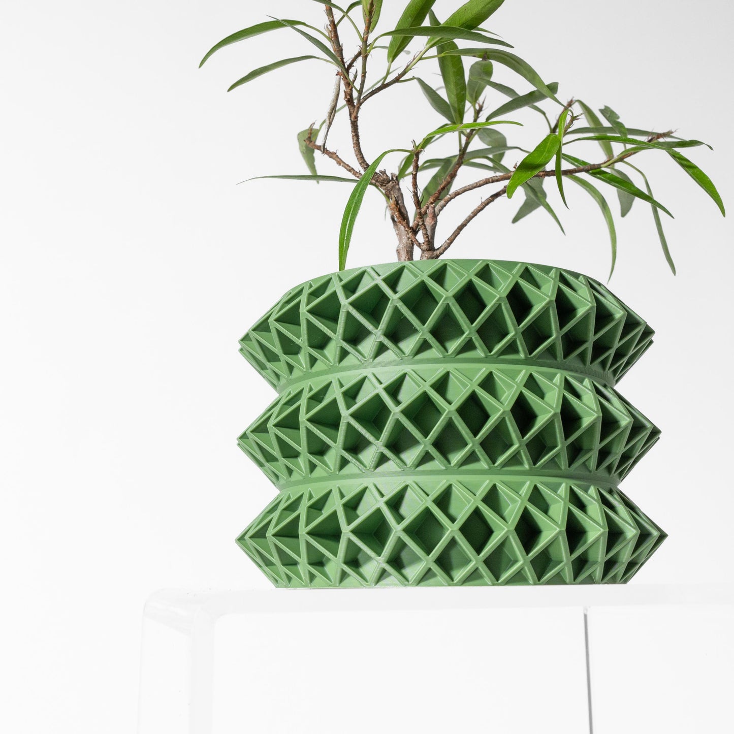 The Tomo Planter