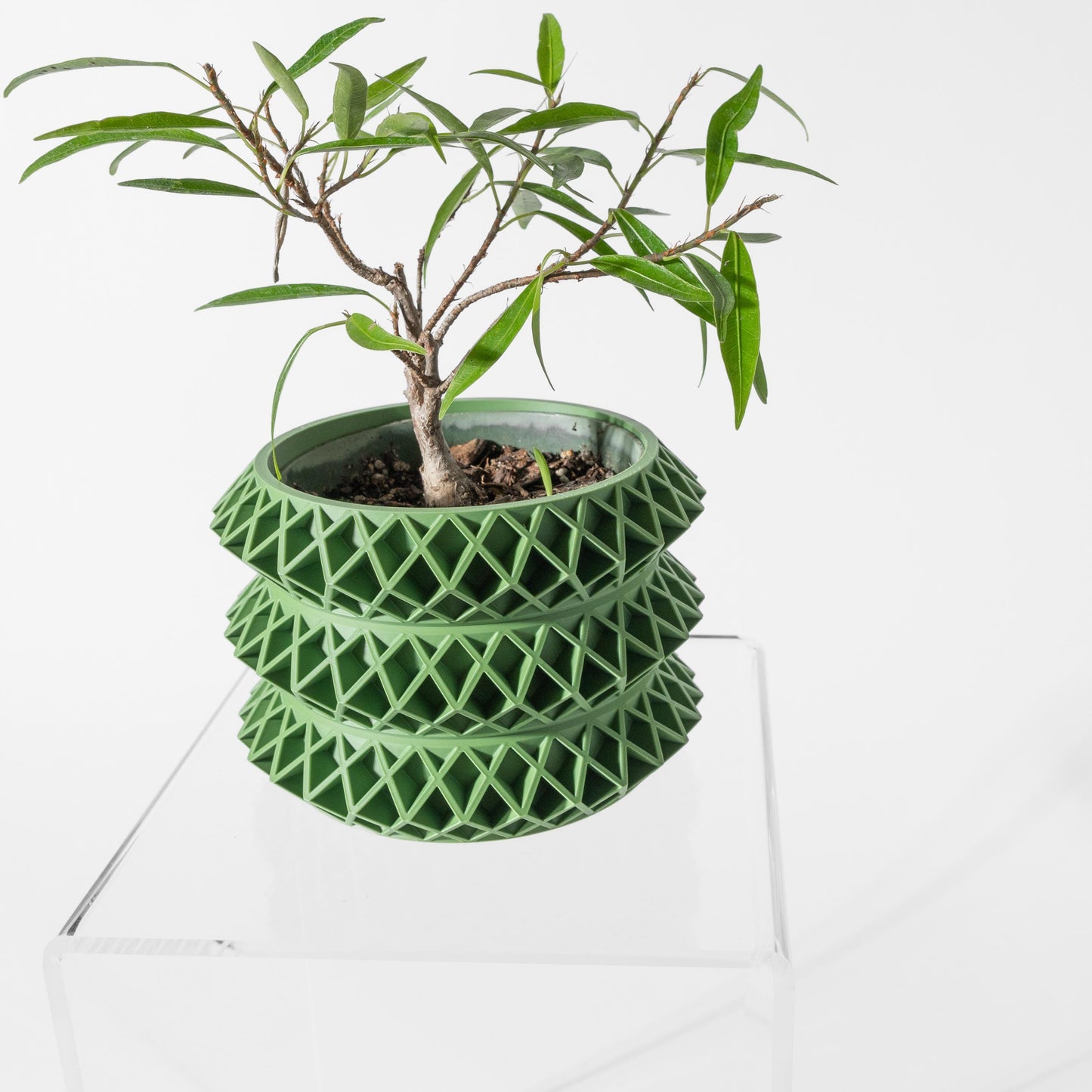 The Tomo Planter