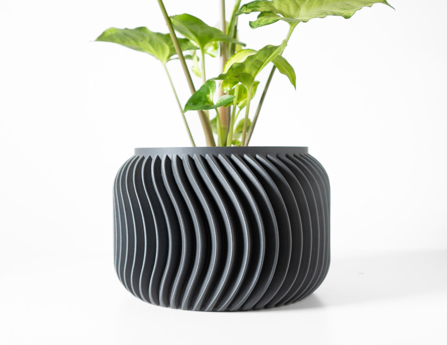 The Vilex Planter