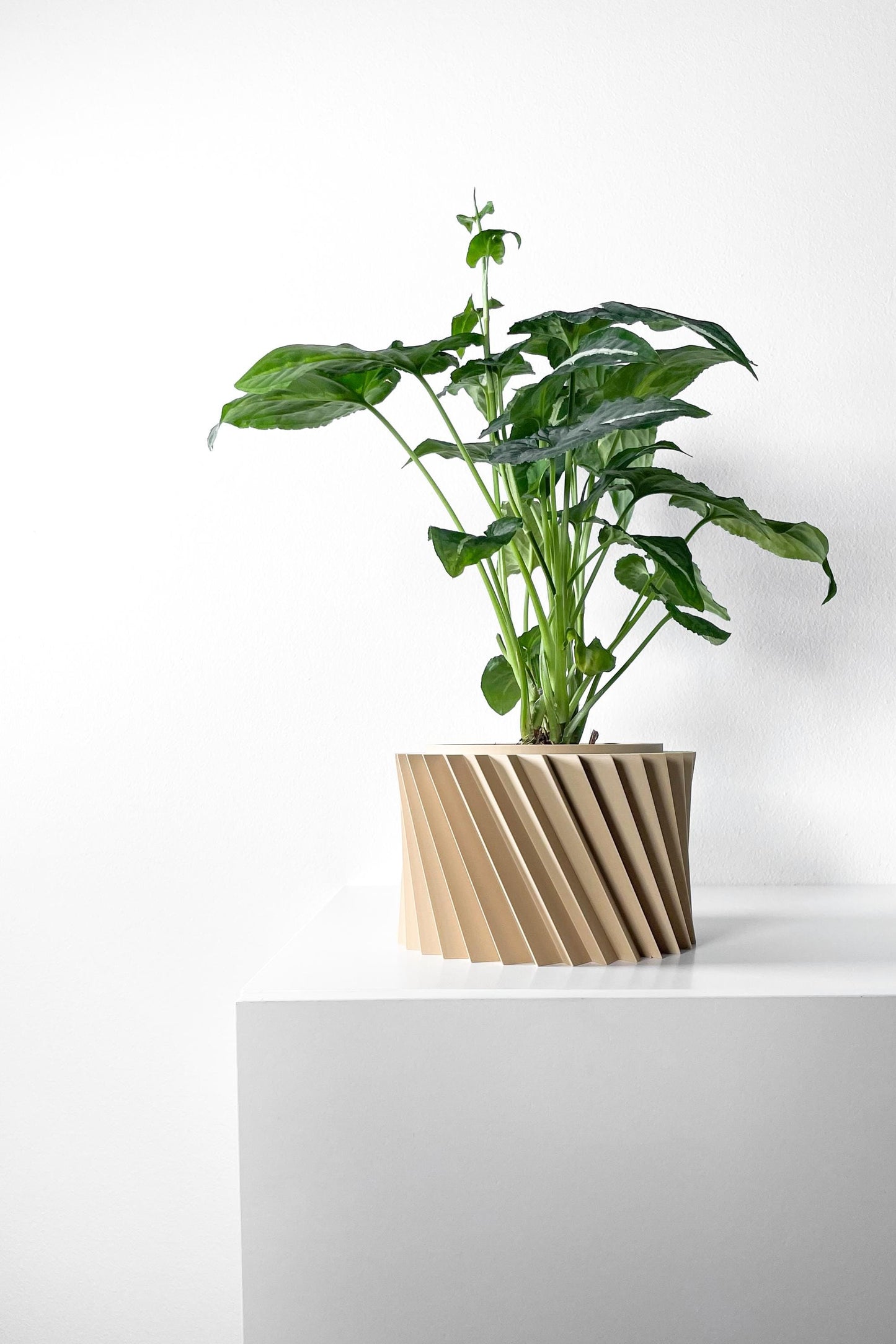 The Wiron Planter