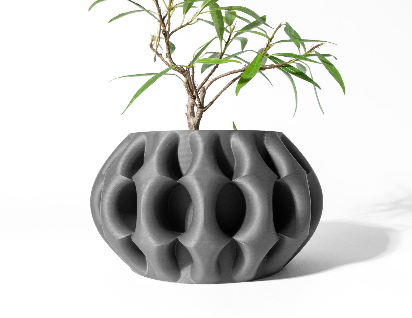 The Xiomu Planter
