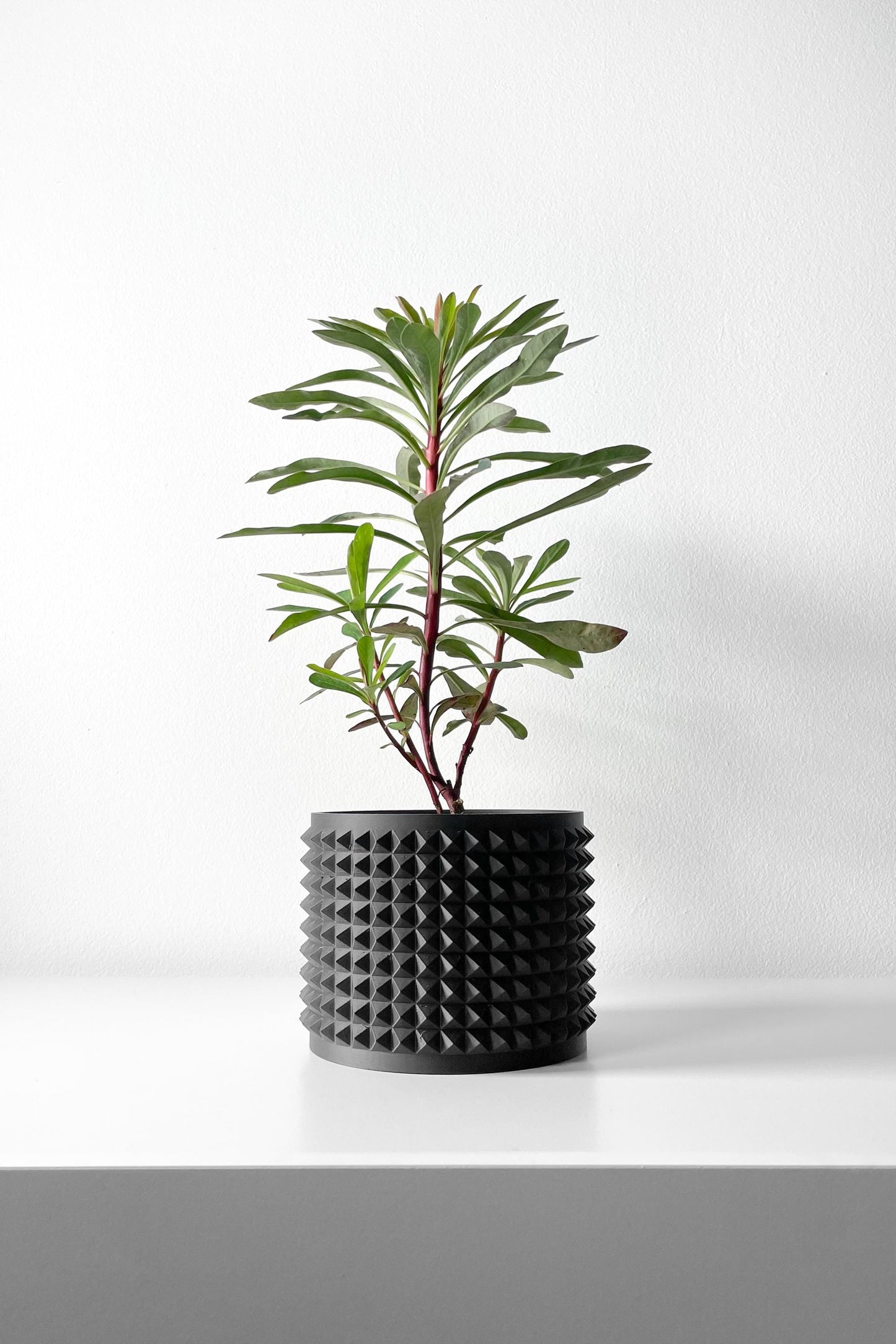 The Jute Planter