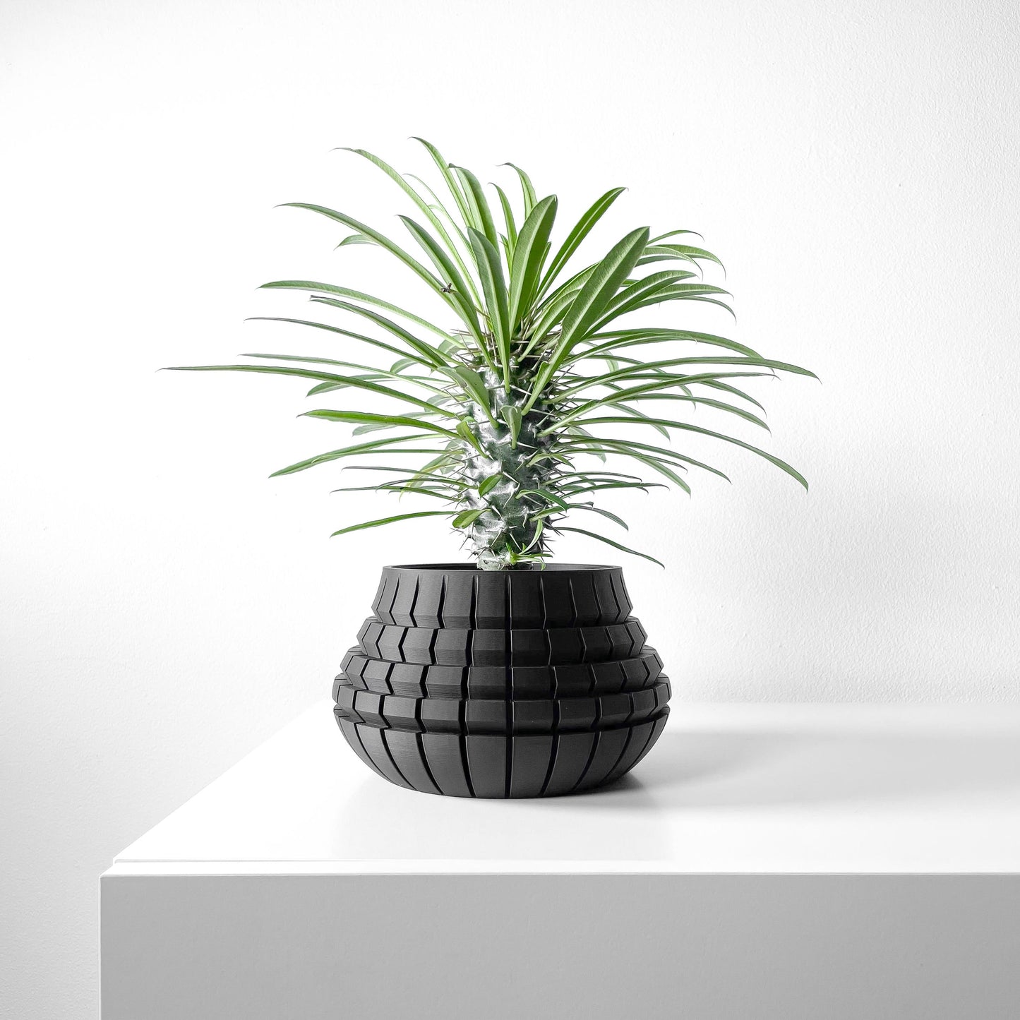 The Ivane Planter