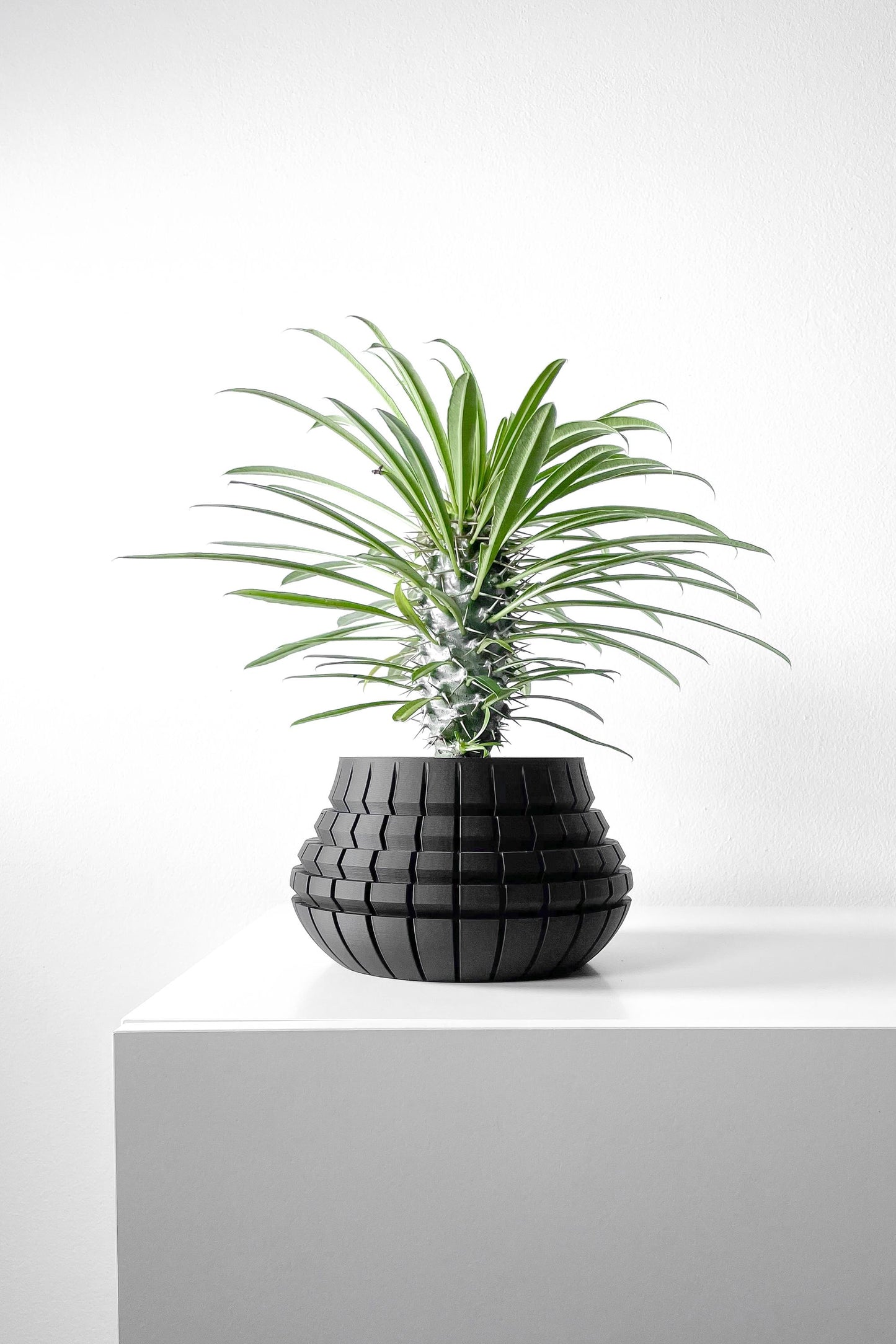 The Ivane Planter