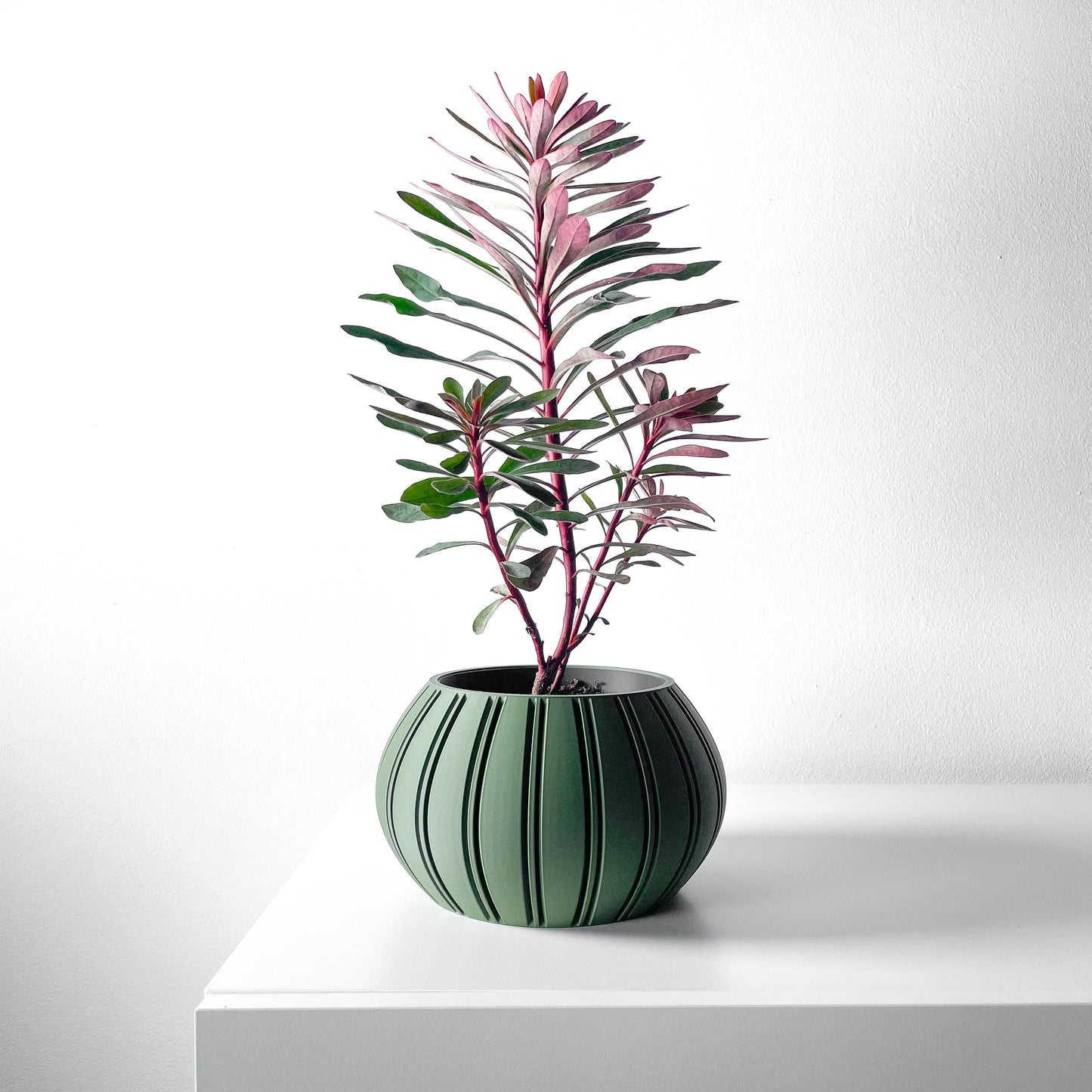 The Ovire Planter