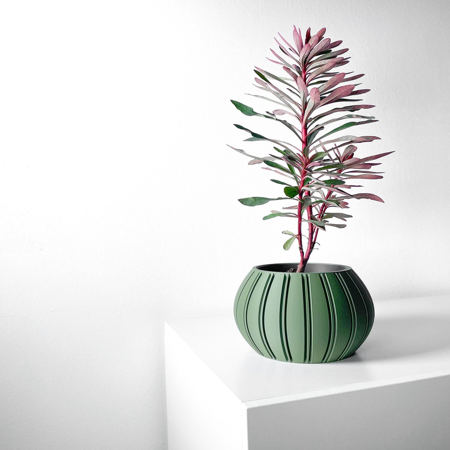The Ovire Planter