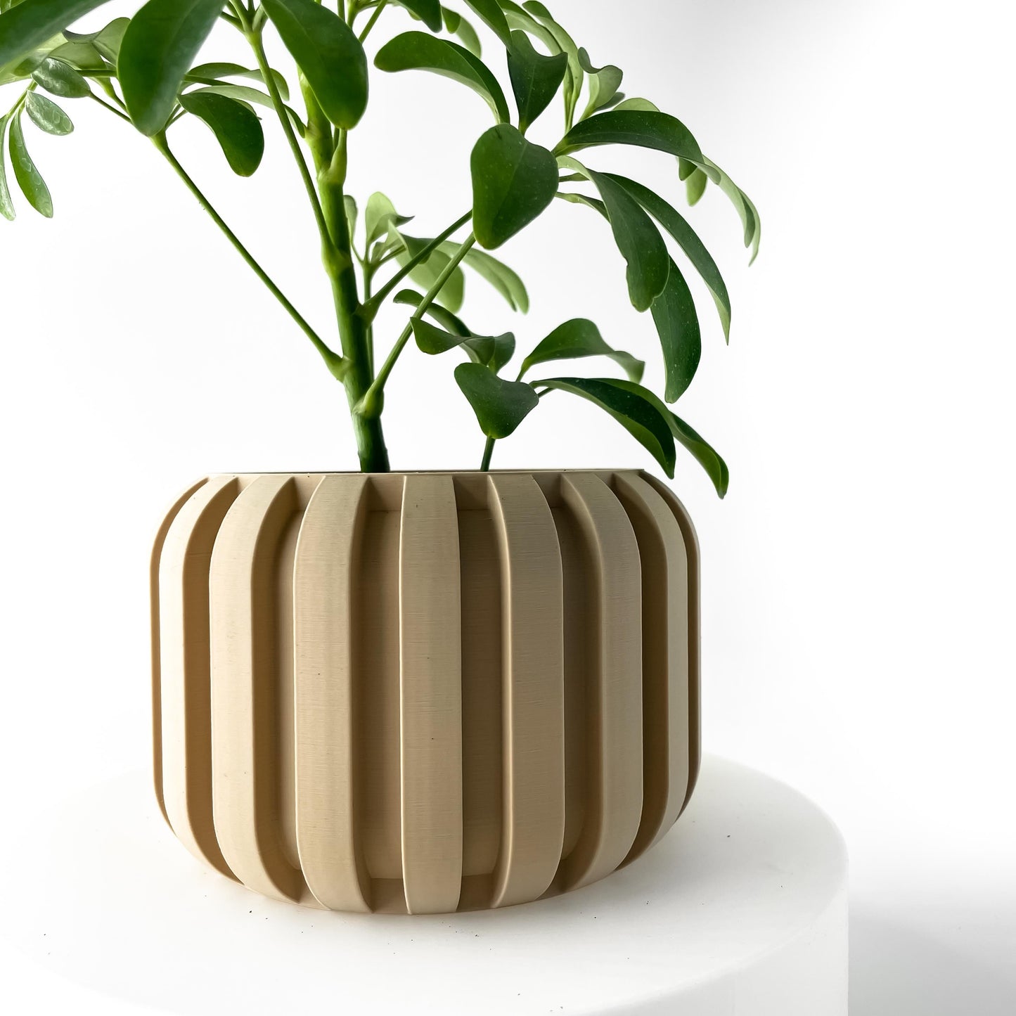 The Panu Planter
