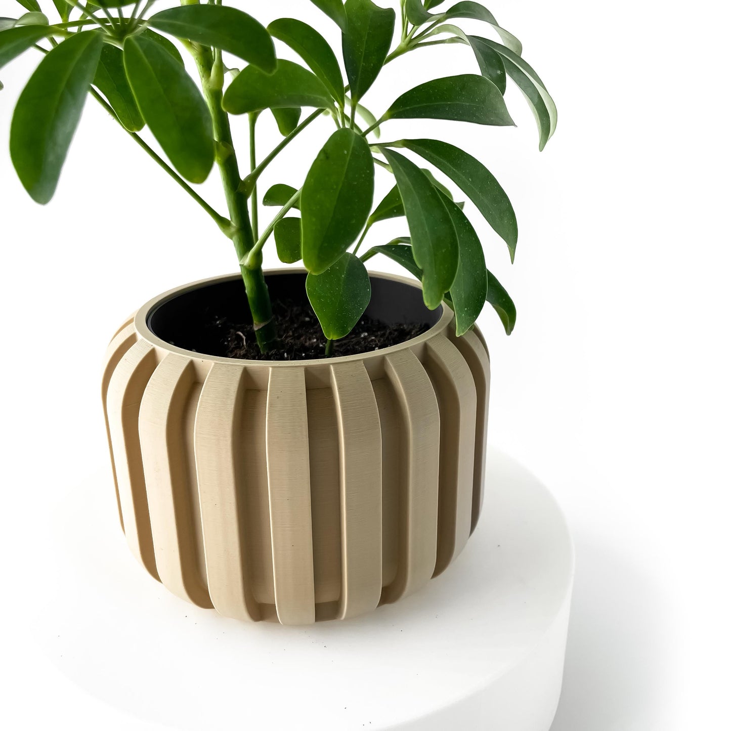 The Panu Planter