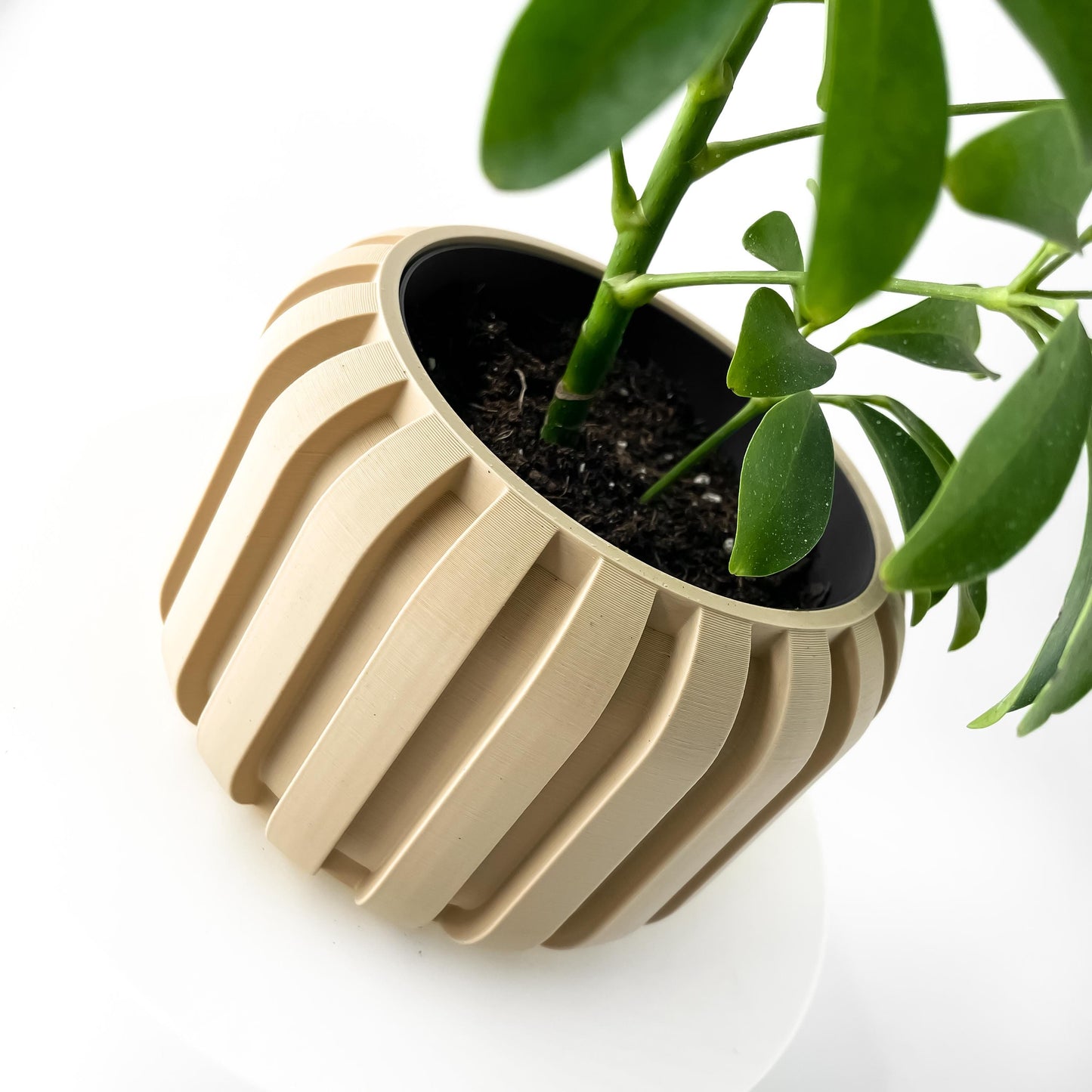 The Panu Planter