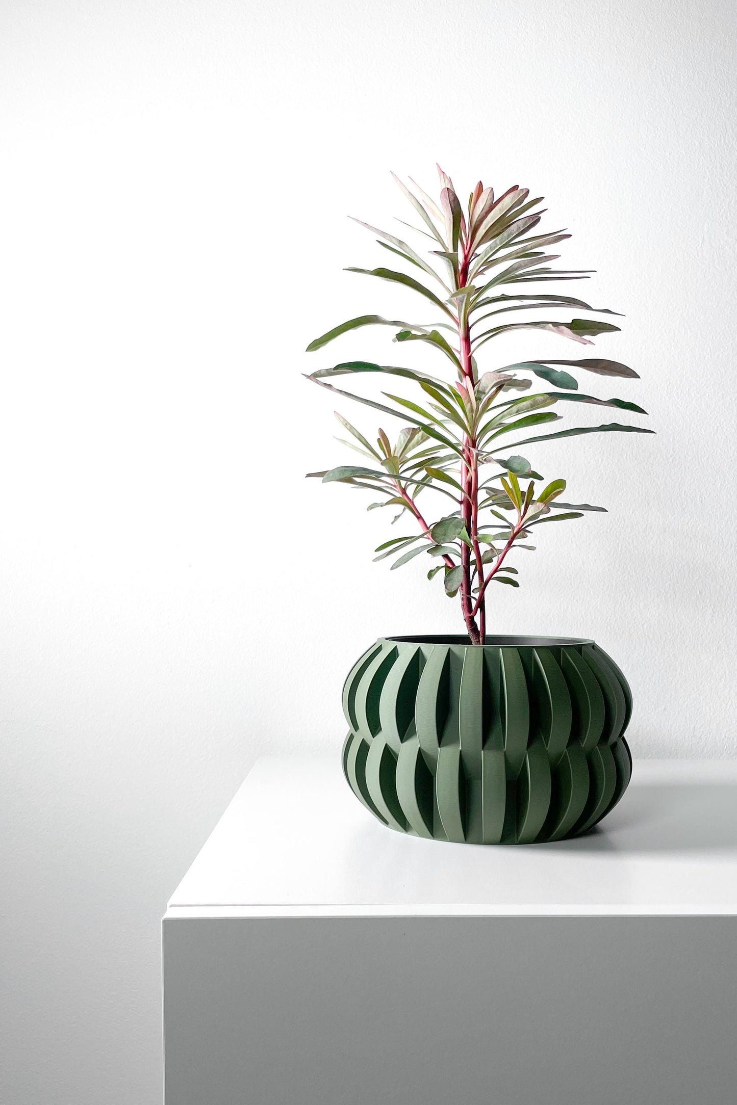 The Povan Planter